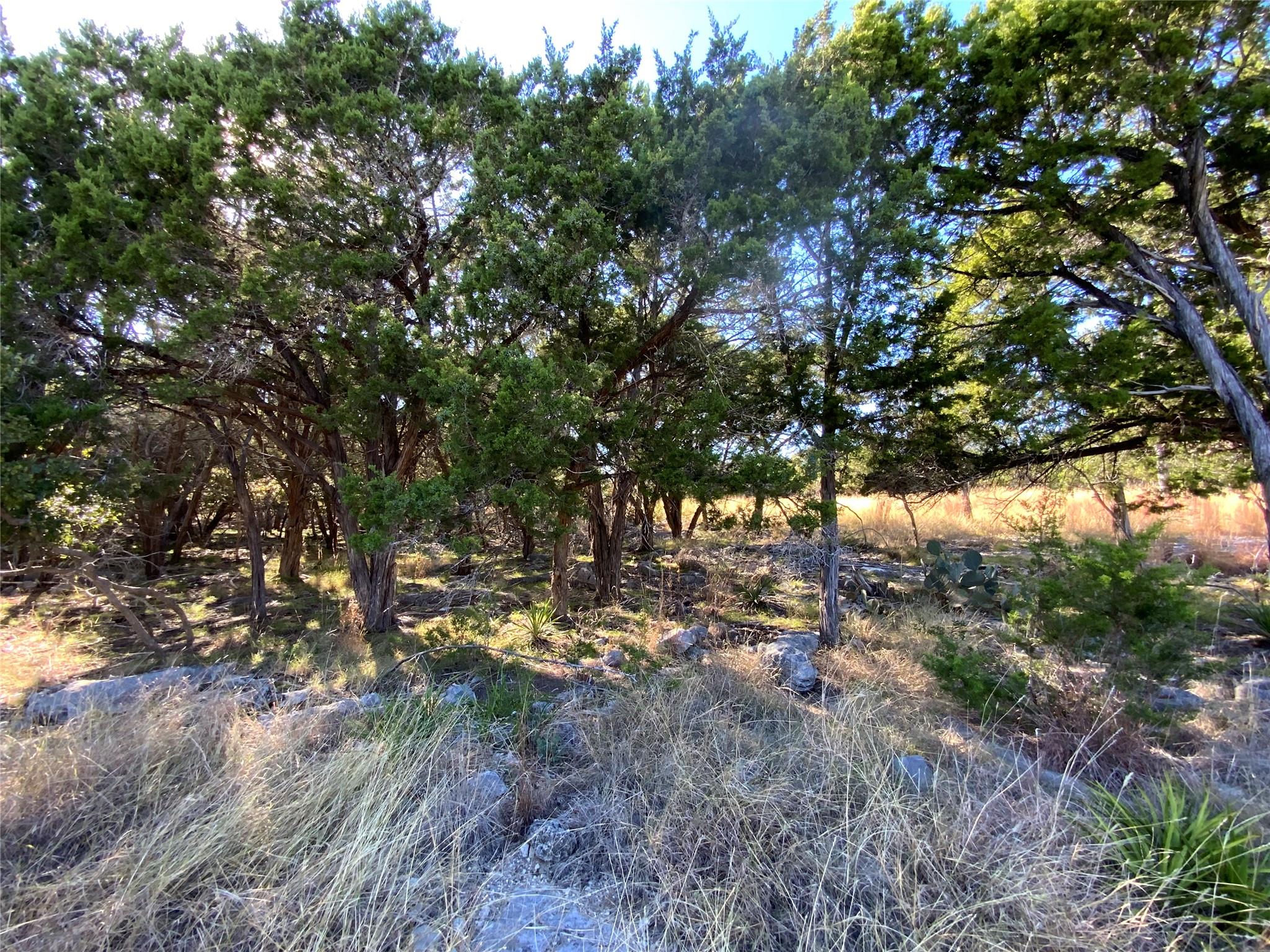 114 Concepcion S, Kerrville, TX 78028