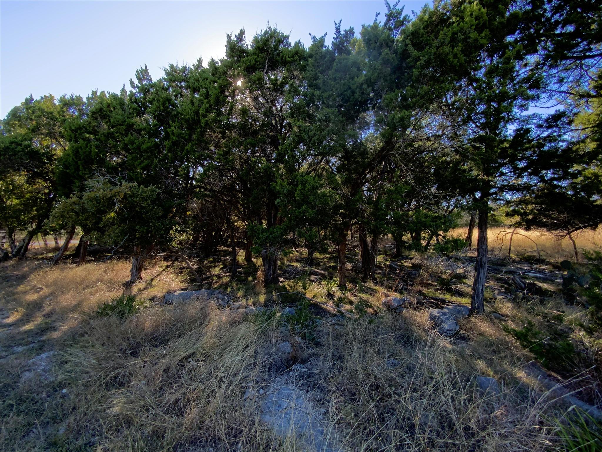 114 Concepcion S, Kerrville, TX 78028