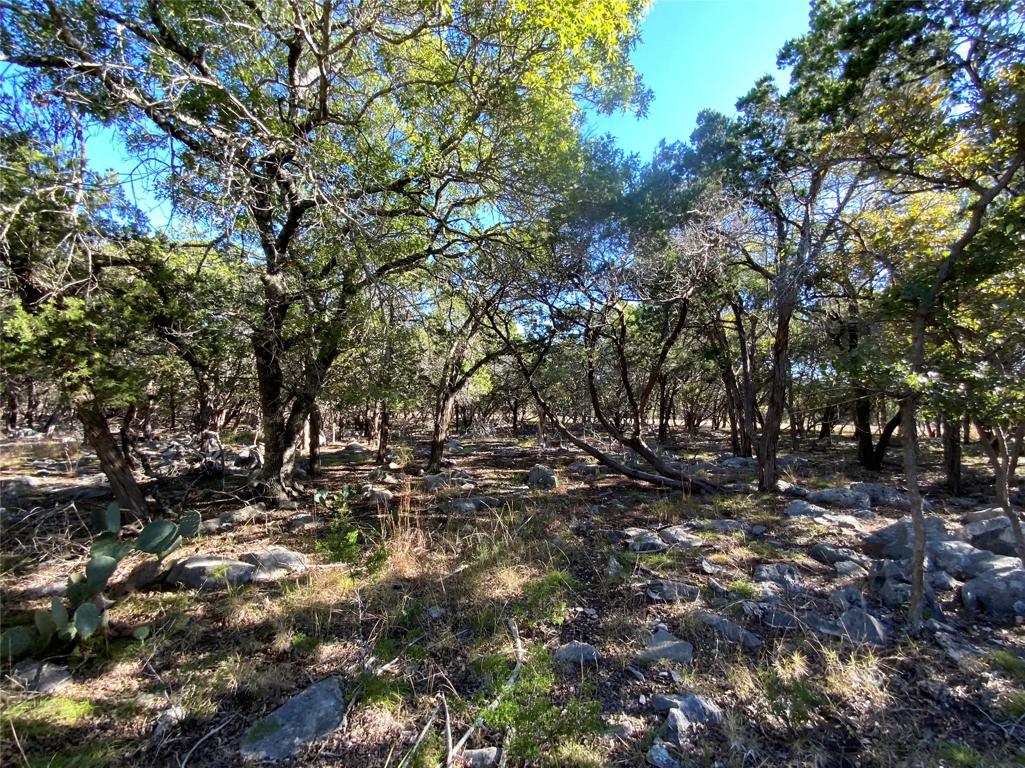 114 Concepcion S, Kerrville, TX 78028