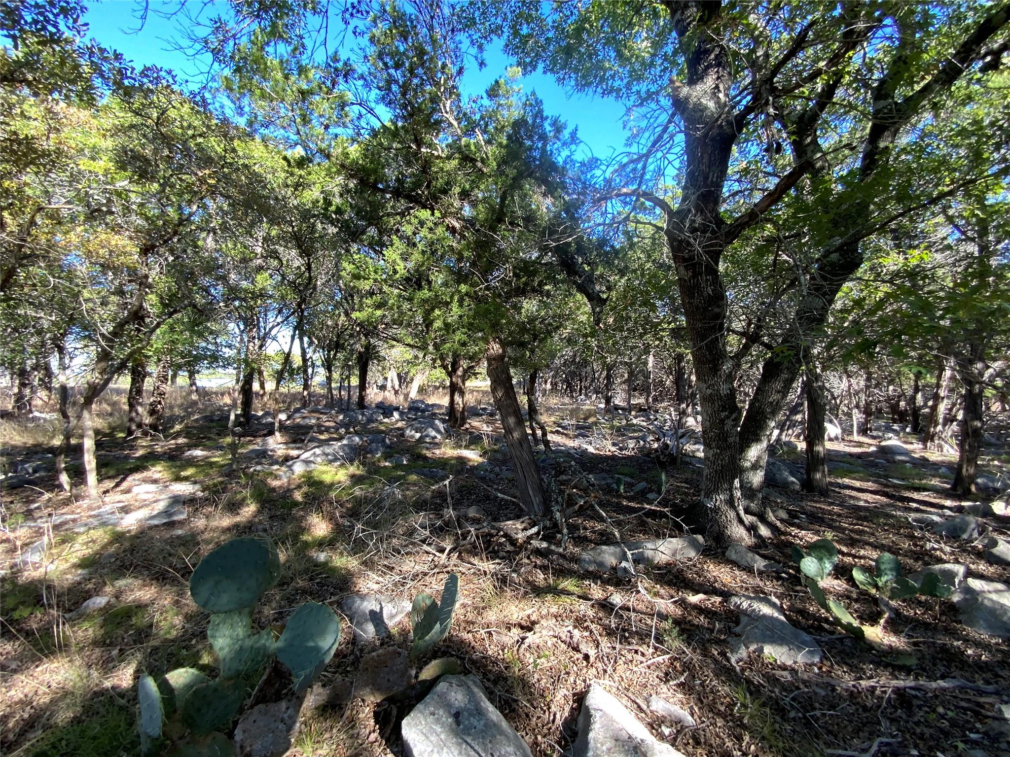 114 Concepcion S, Kerrville, TX 78028