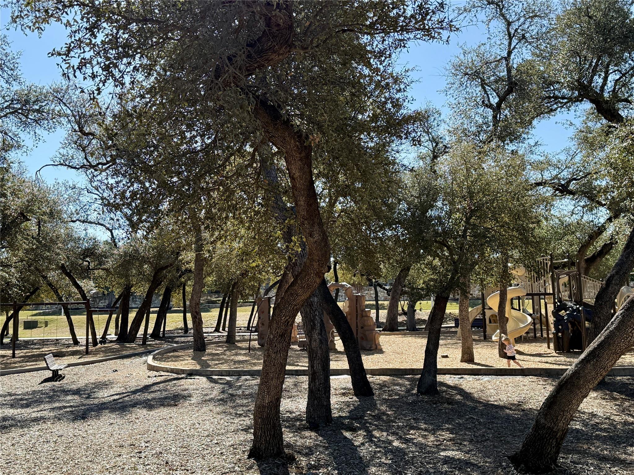 1805 Hollowback Dr, Leander, TX 78641