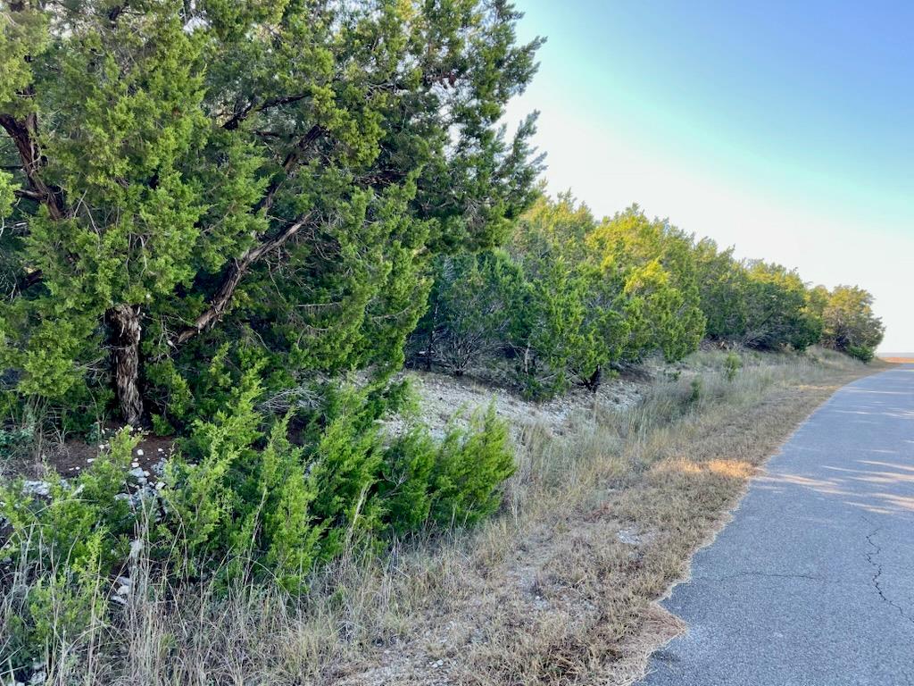 3401 Eisenhower Ave, Lago Vista, TX 78645