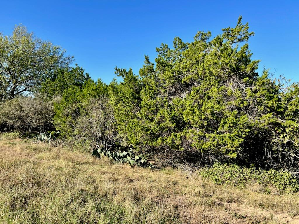 3401 Eisenhower Ave, Lago Vista, TX 78645