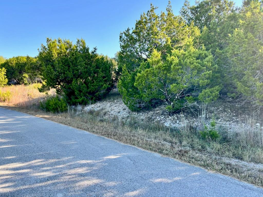 3401 Eisenhower Ave, Lago Vista, TX 78645