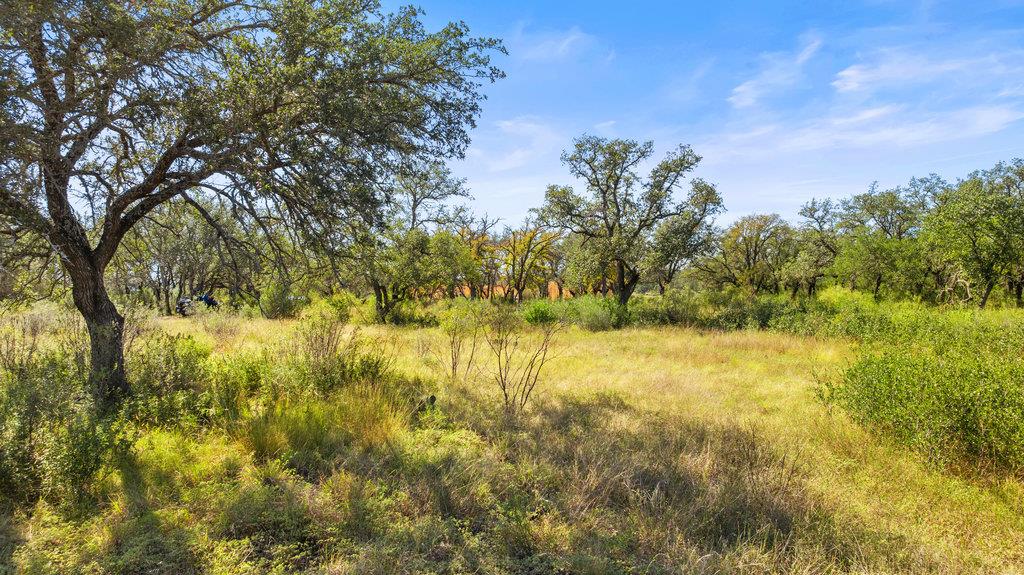 TBD Pedernales Canyon, Spicewood, TX 78669