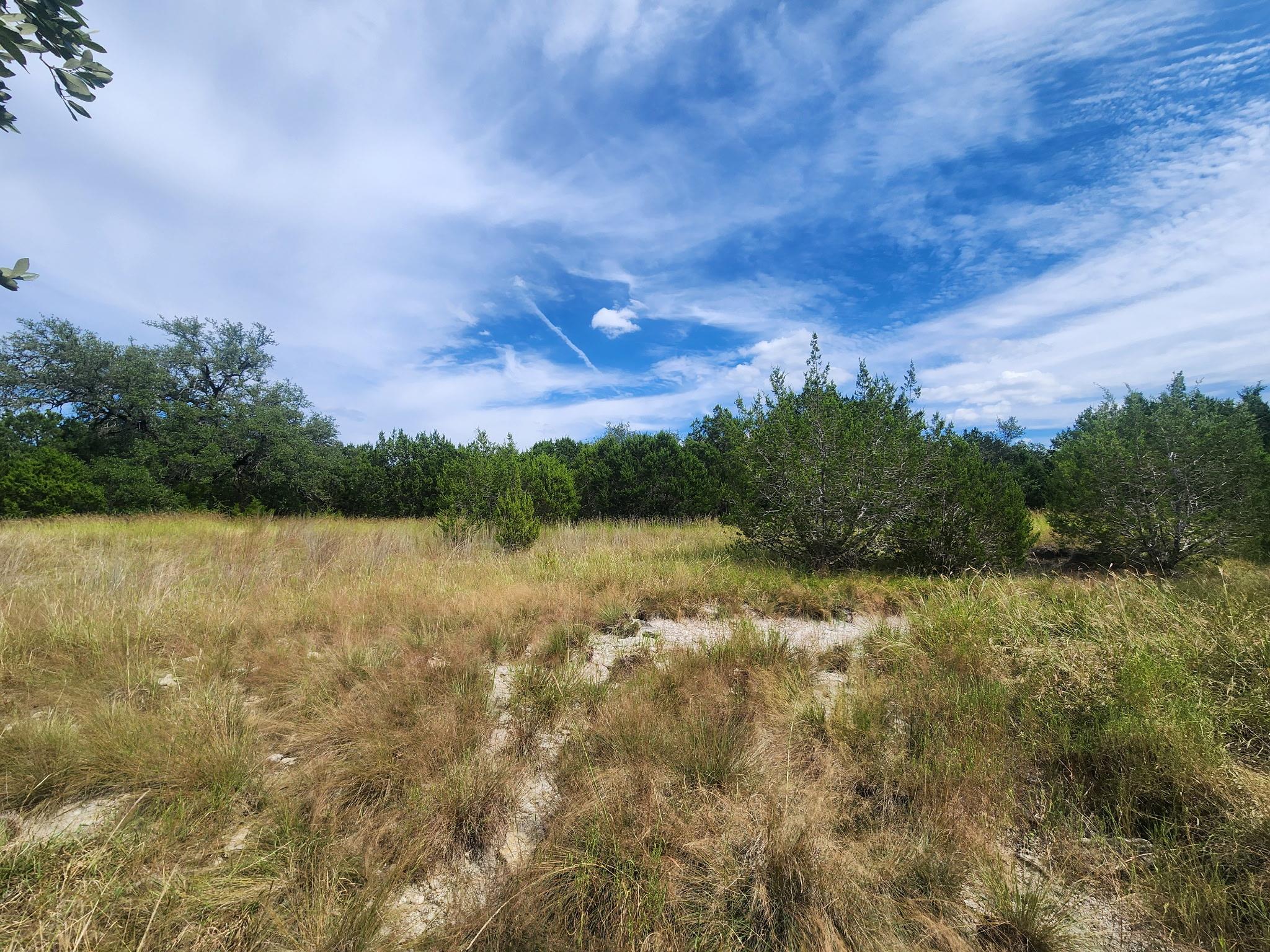 TBD Cloudwood Ranch Rd, Briggs, TX 78608
