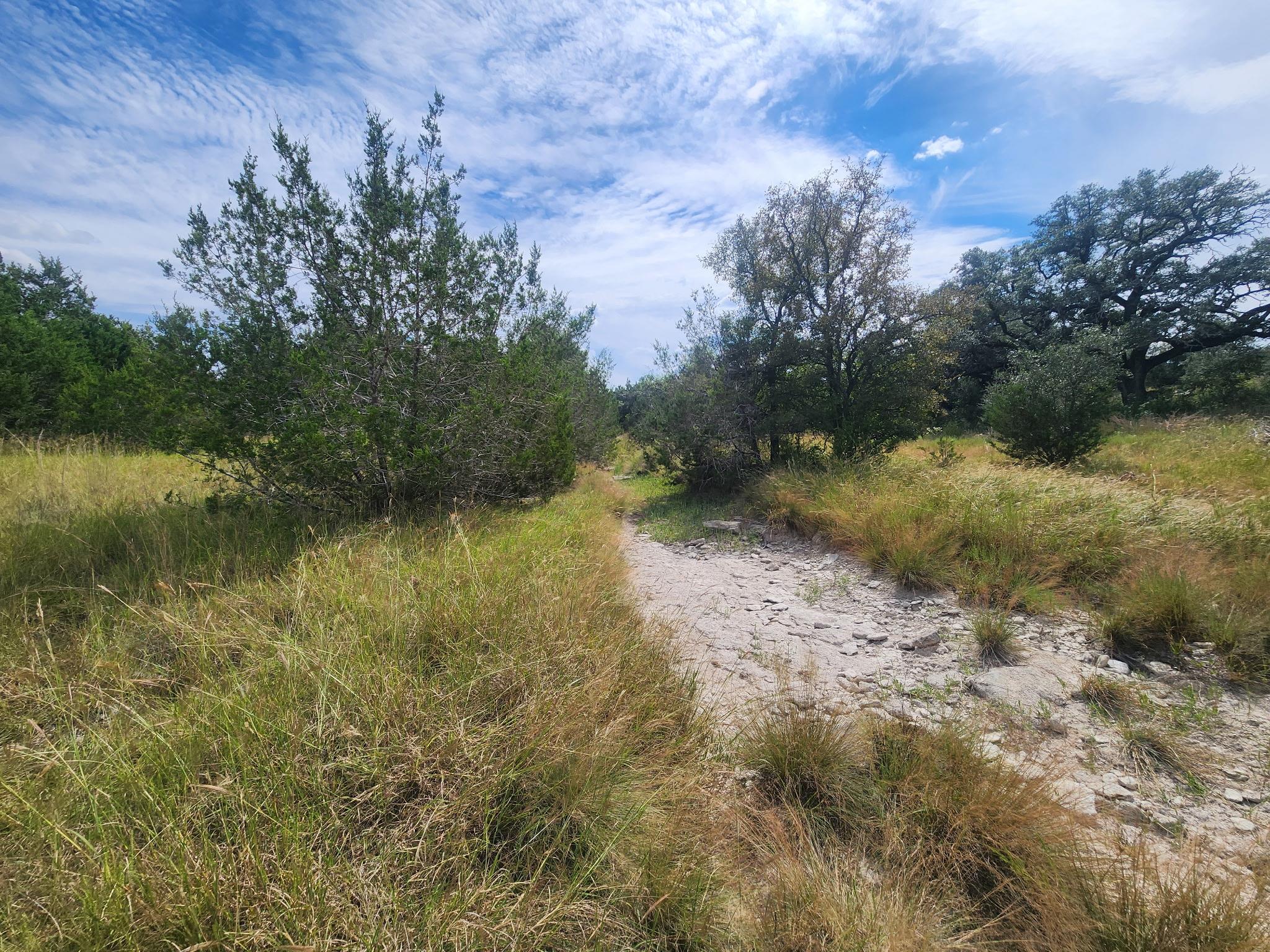 TBD Cloudwood Ranch Rd, Briggs, TX 78608