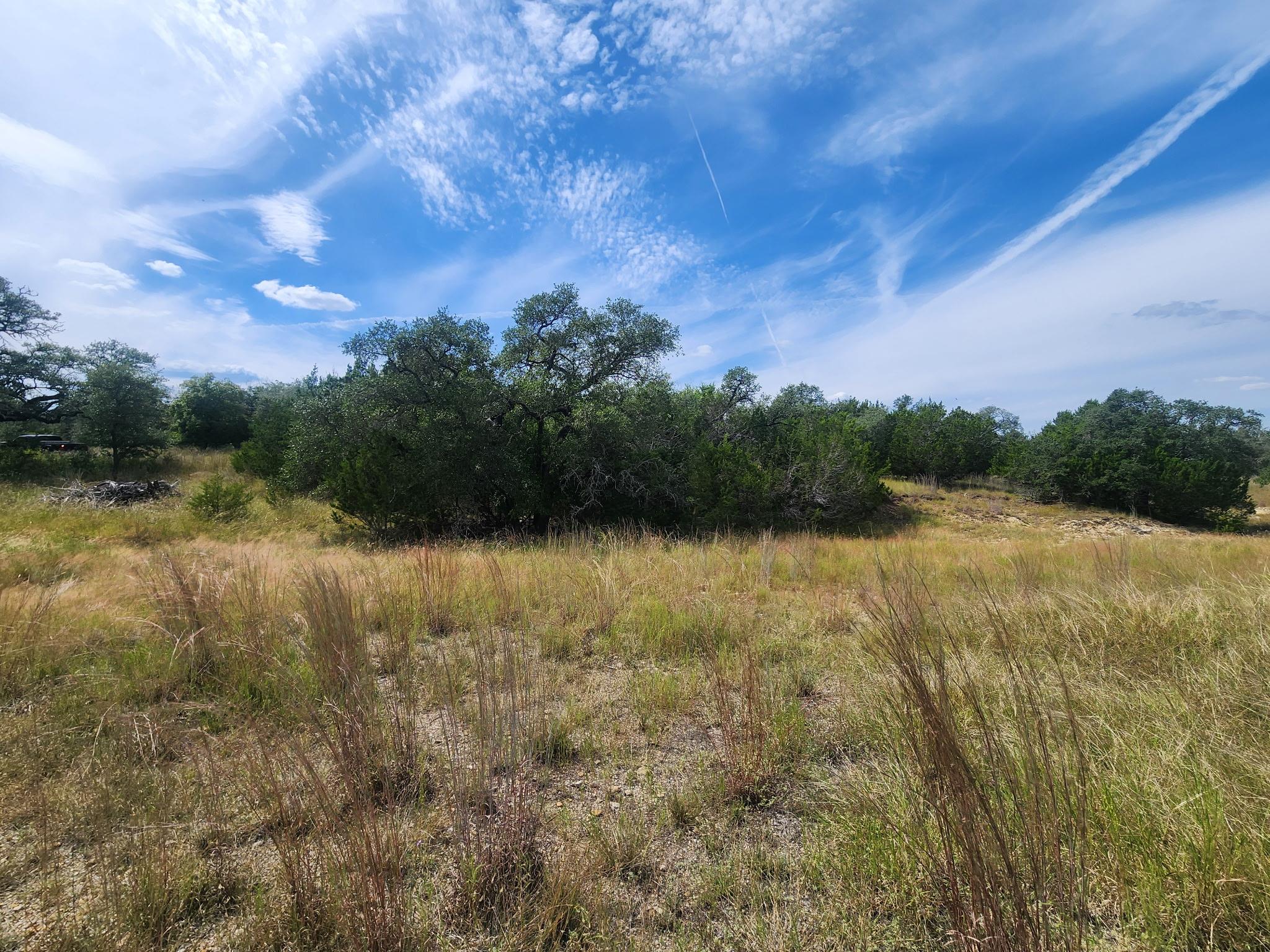 TBD Cloudwood Ranch Rd, Briggs, TX 78608