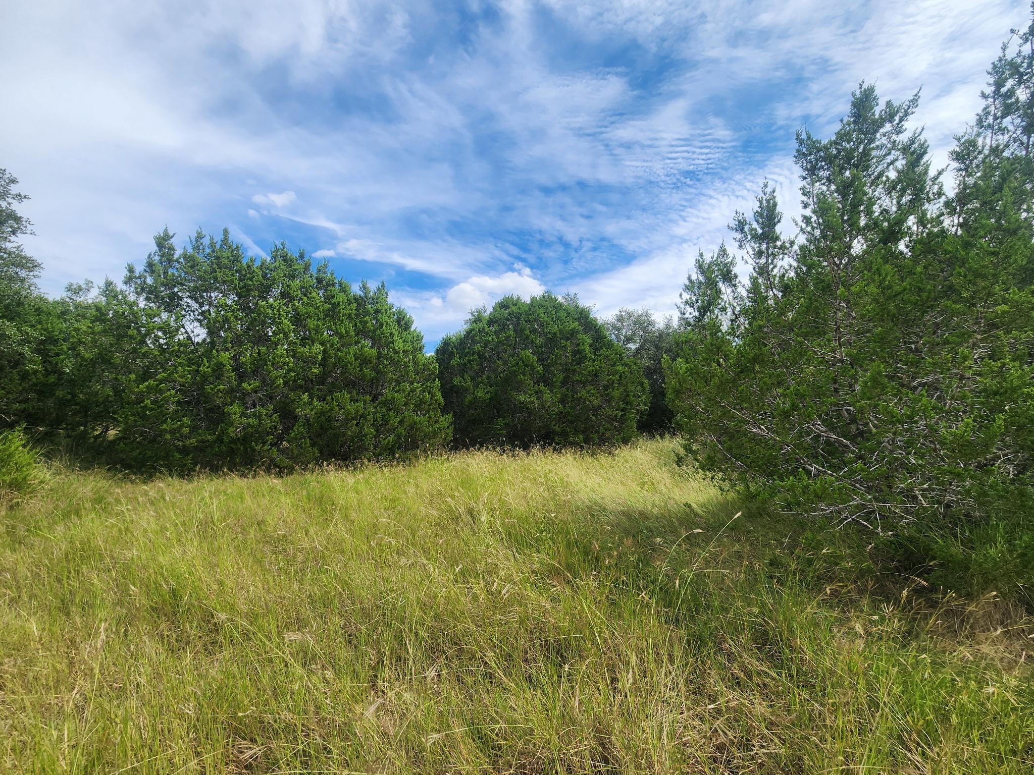 TBD Cloudwood Ranch Rd, Briggs, TX 78608