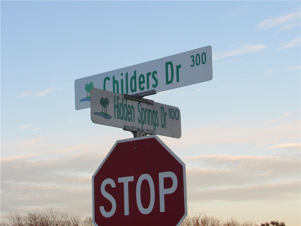 102 W Hidden Springs Dr, Bastrop, TX 78602