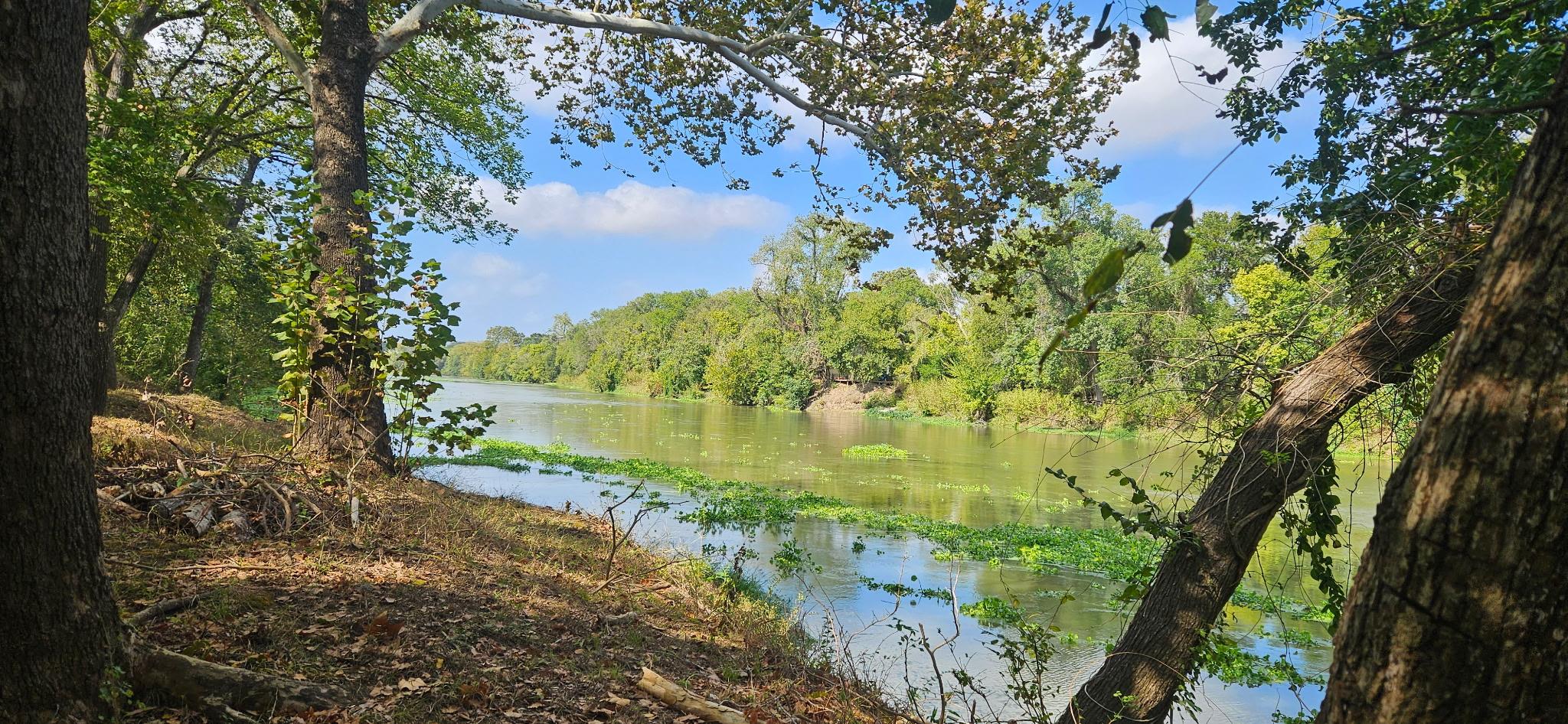 503 Colorado St, Smithville, TX 78957