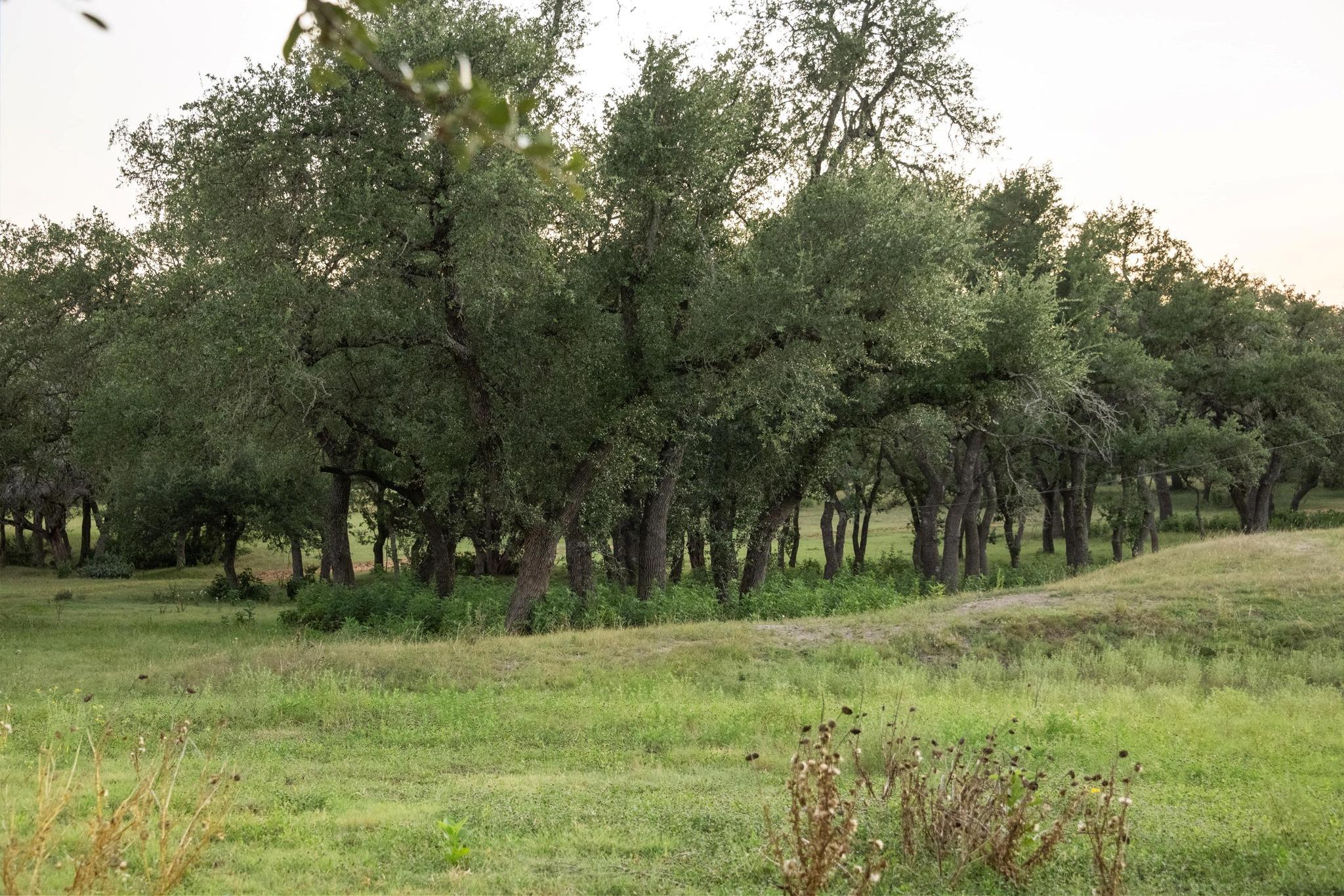 5200 Bell Springs Rd, Dripping Springs, TX 78620