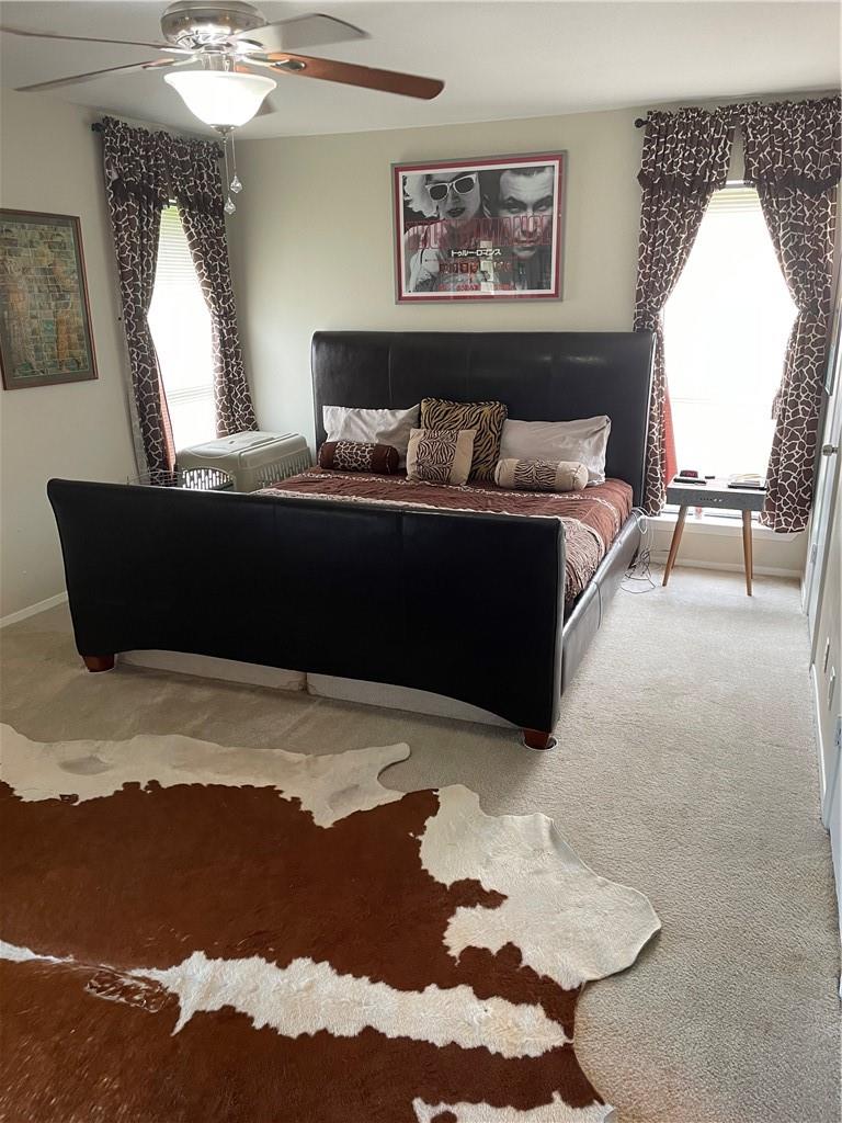 513 White Wing Way, Round Rock, TX 78664