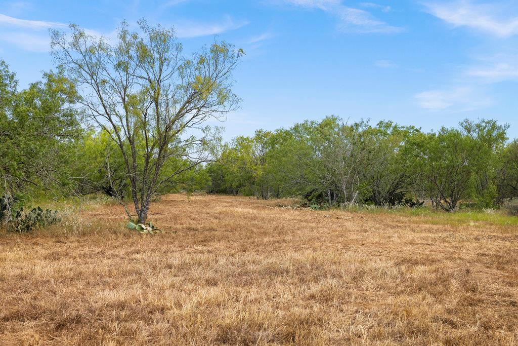 TBD CR 171, Nixon, TX 78140