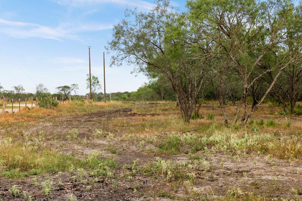 TBD CR 171, Nixon, TX 78140