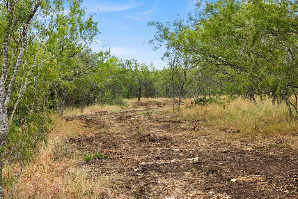 TBD CR 171, Nixon, TX 78140