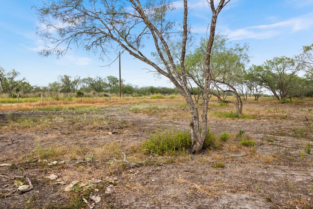 TBD CR 171, Nixon, TX 78140