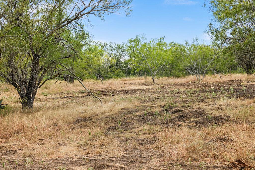 TBD CR 171, Nixon, TX 78140