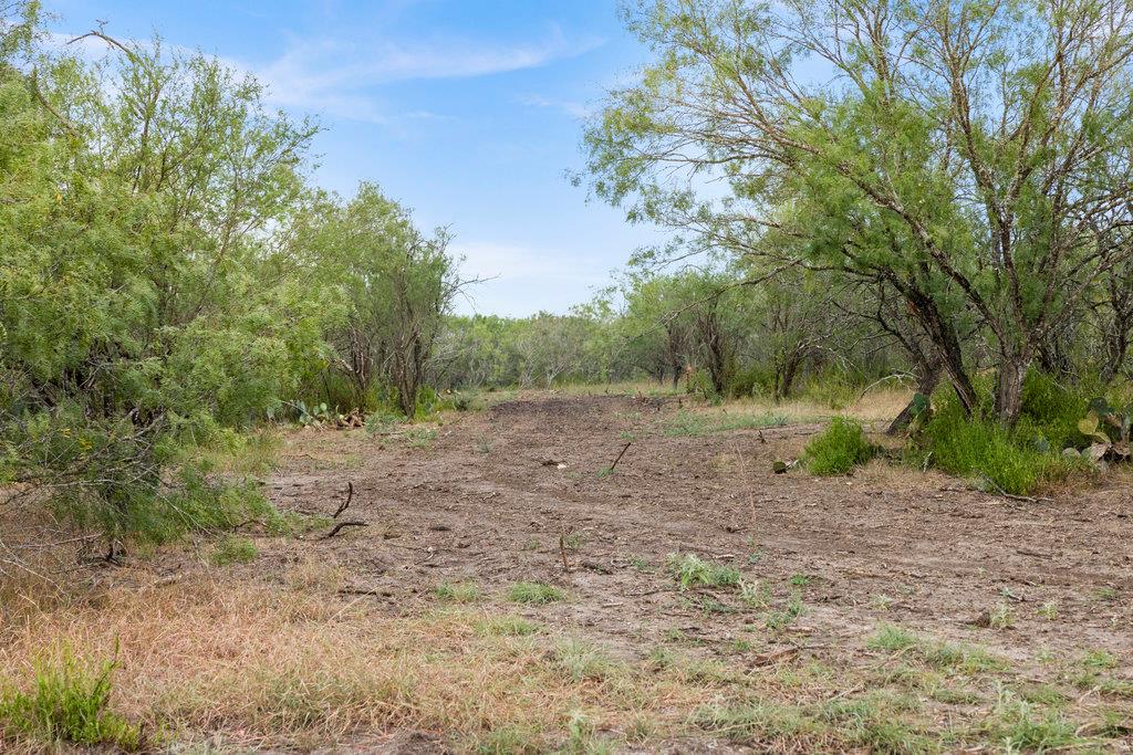 TBD CR 171, Nixon, TX 78140