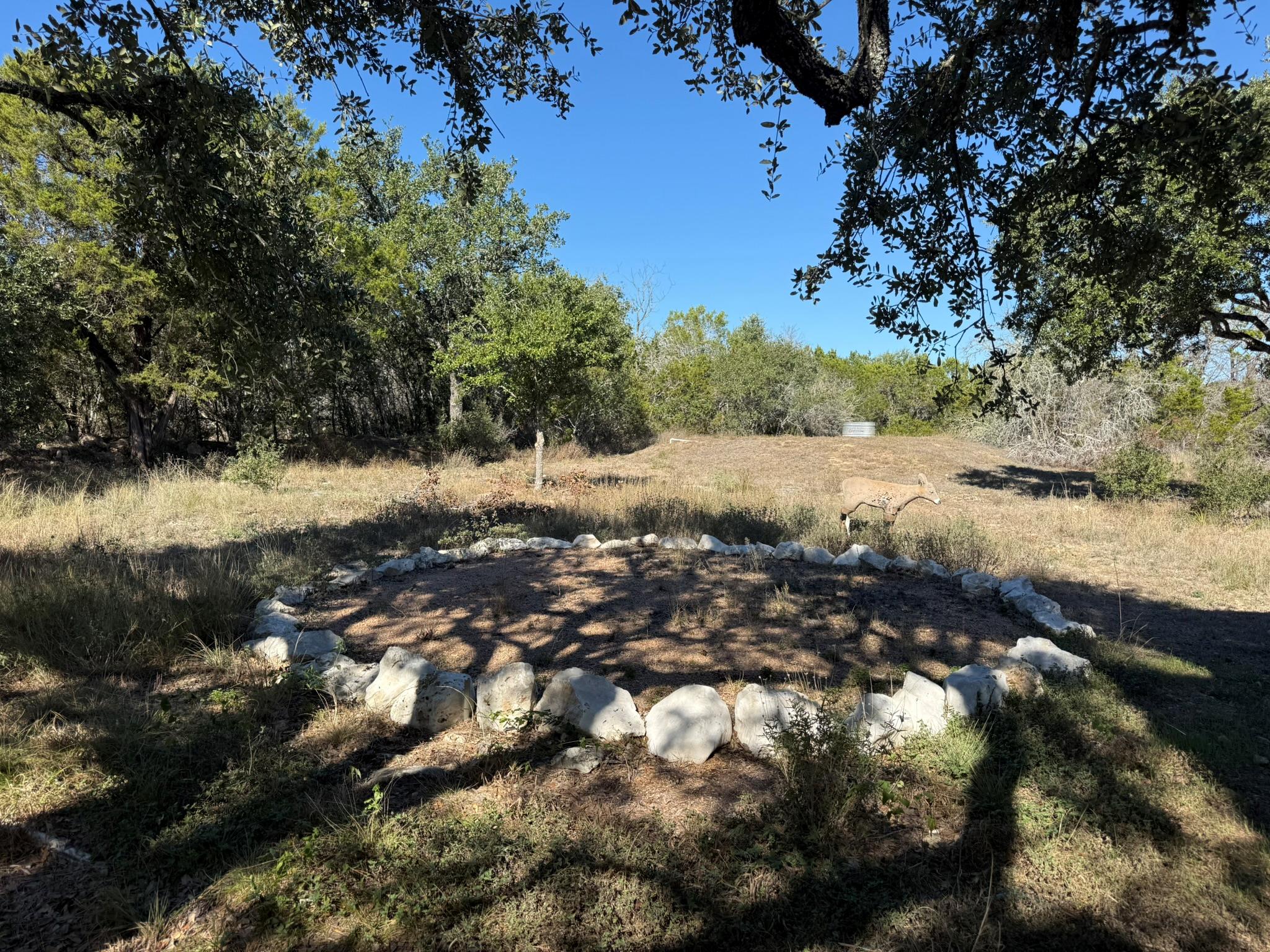 350 Hugo Rd, San Marcos, TX 78666