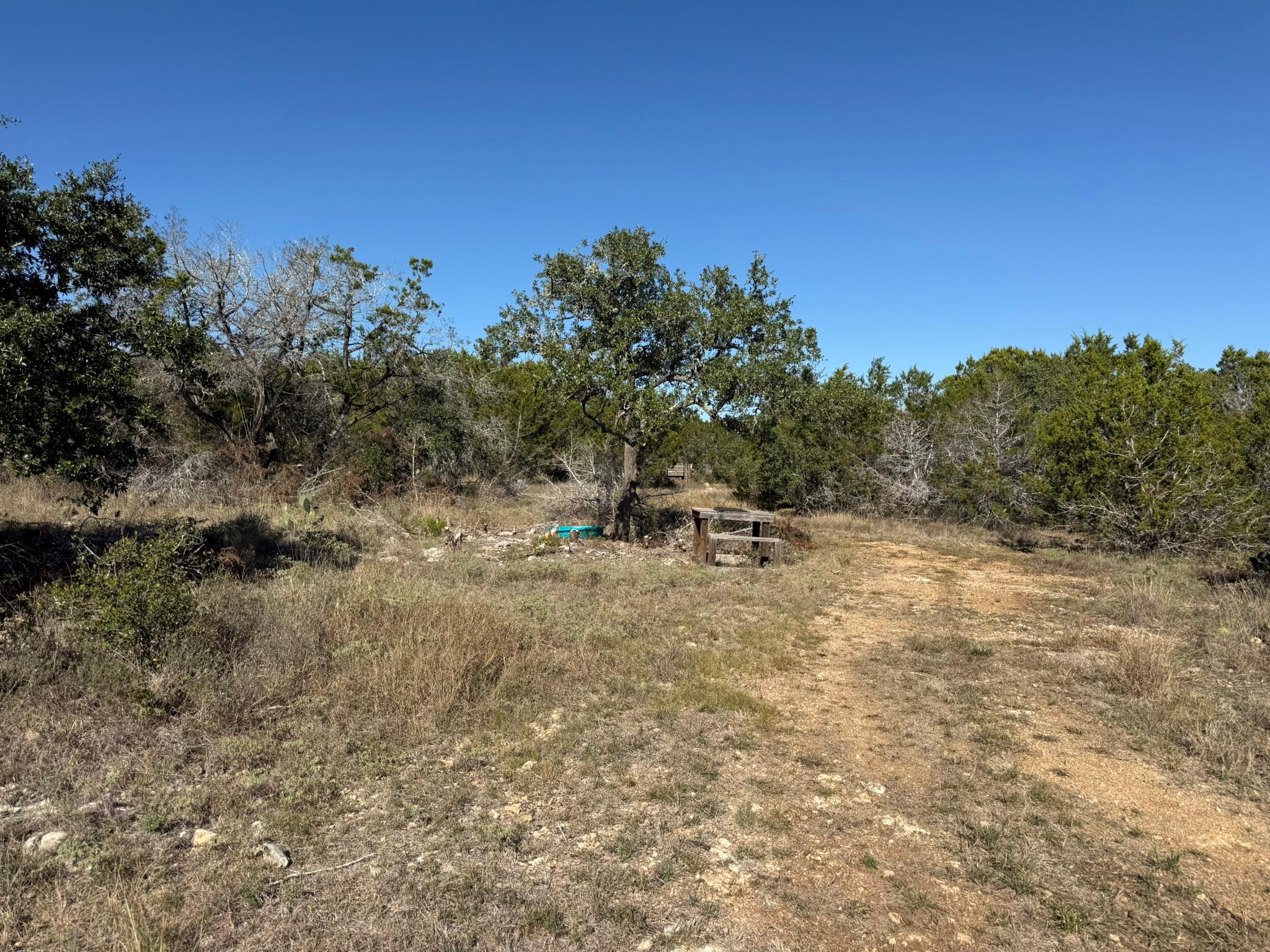 350 Hugo Rd, San Marcos, TX 78666