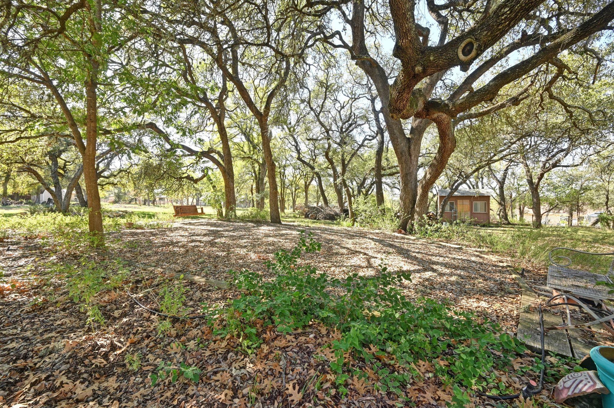 207 Leisurewoods Dr, Buda, TX 78610