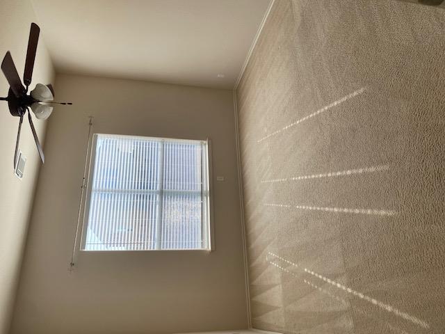 3709 Pine Needle Cir, Round Rock, TX 78681