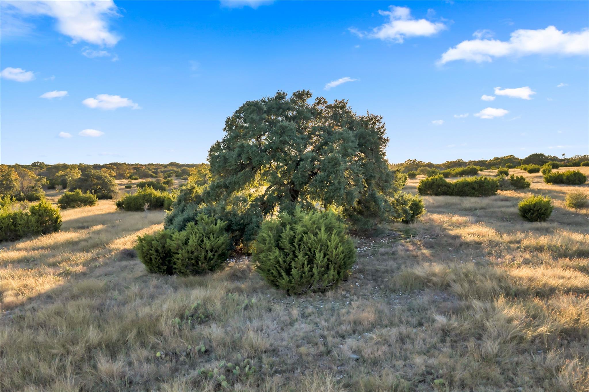 7531 CR 336, Bertram, TX 78605