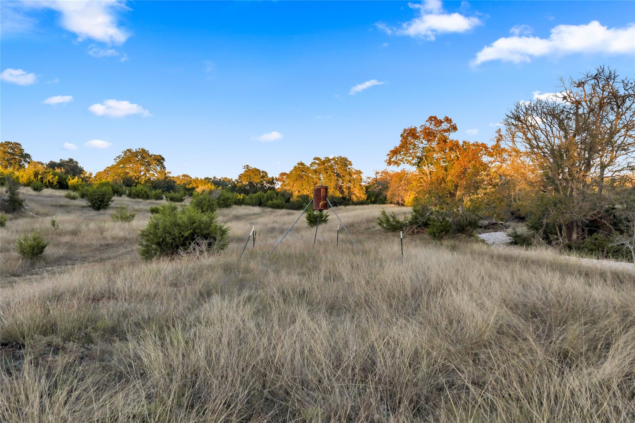 7531 CR 336, Bertram, TX 78605