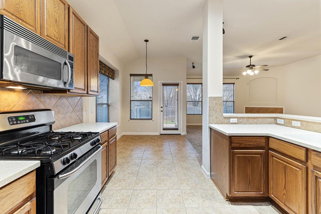 2134 Paradise Ridge Dr, Round Rock, TX 78665