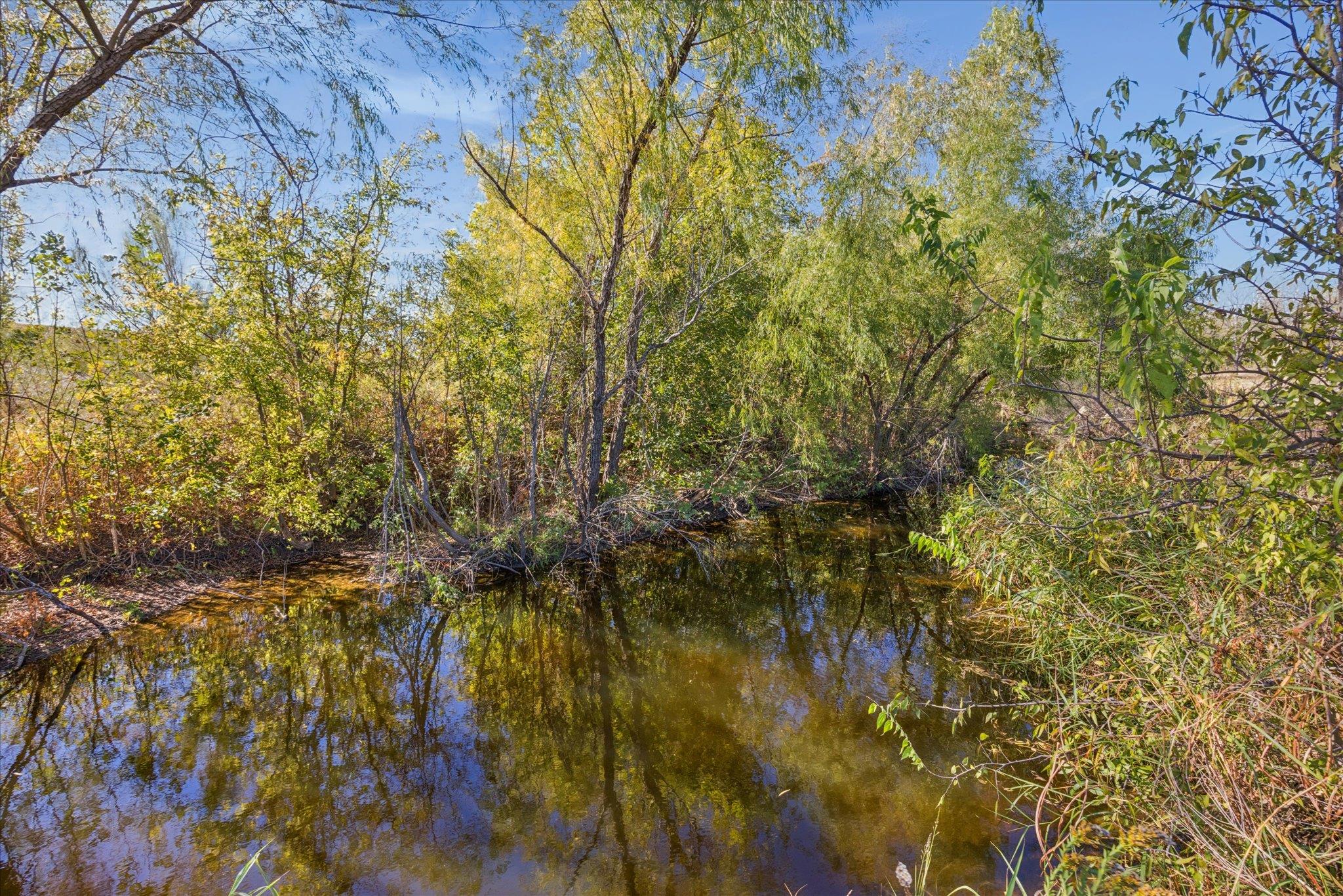 10719 San Jose Ave, Del Valle, TX 78617