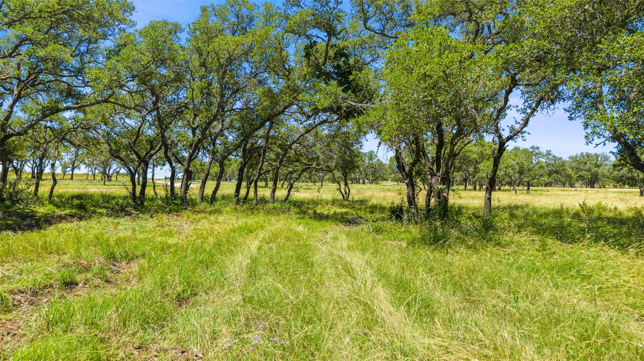 1094 Lindeman Ln, Blanco, TX 78606