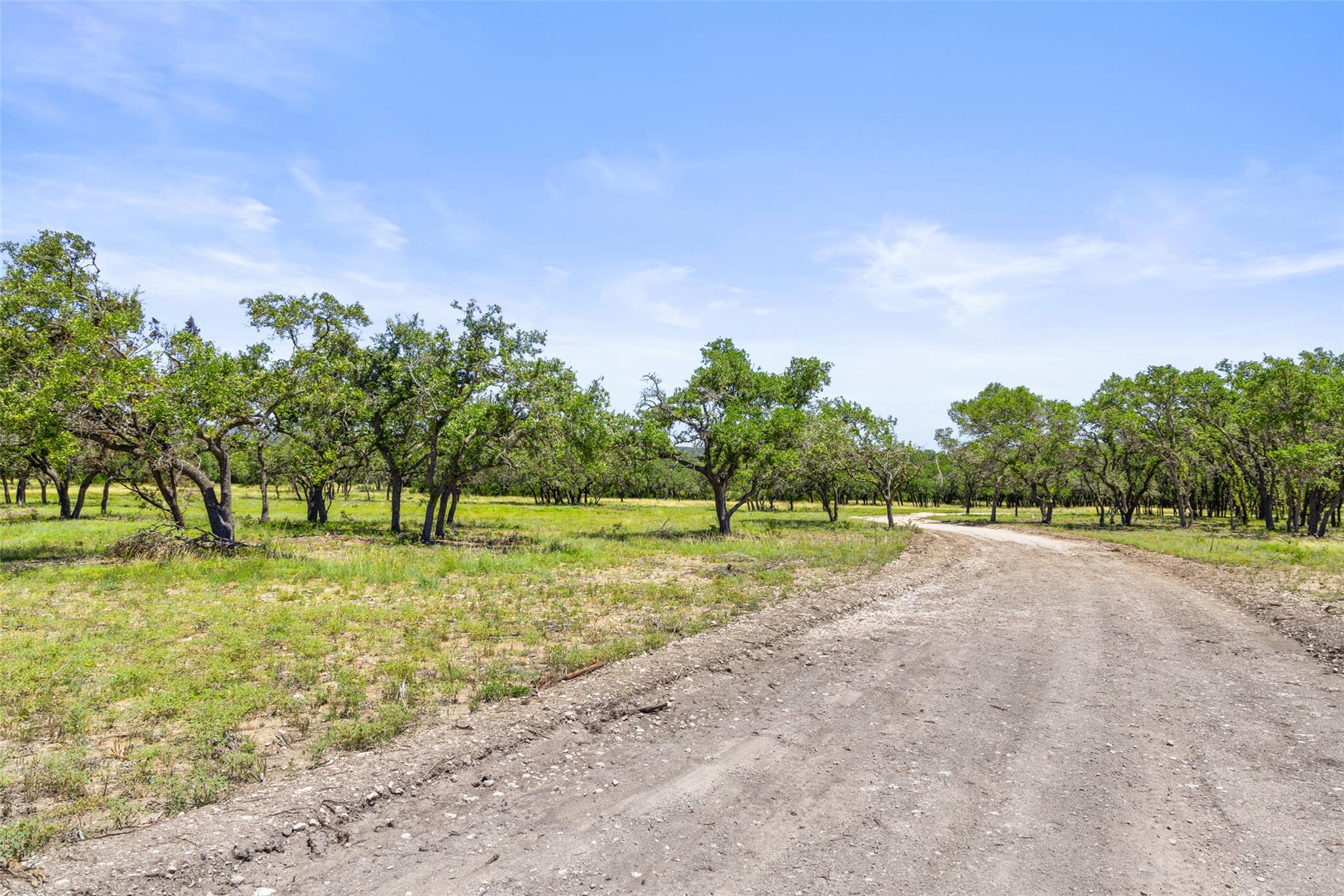 1094 Lindeman Ln, Blanco, TX 78606