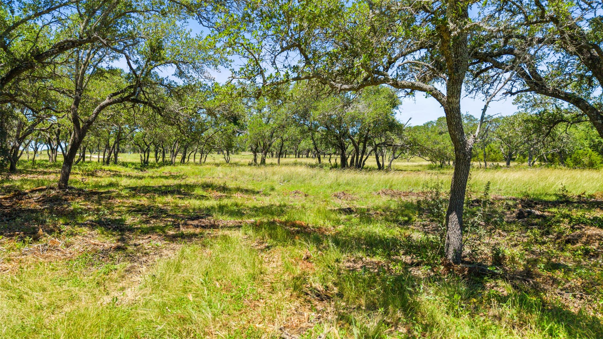 1094 Lindeman Ln, Blanco, TX 78606