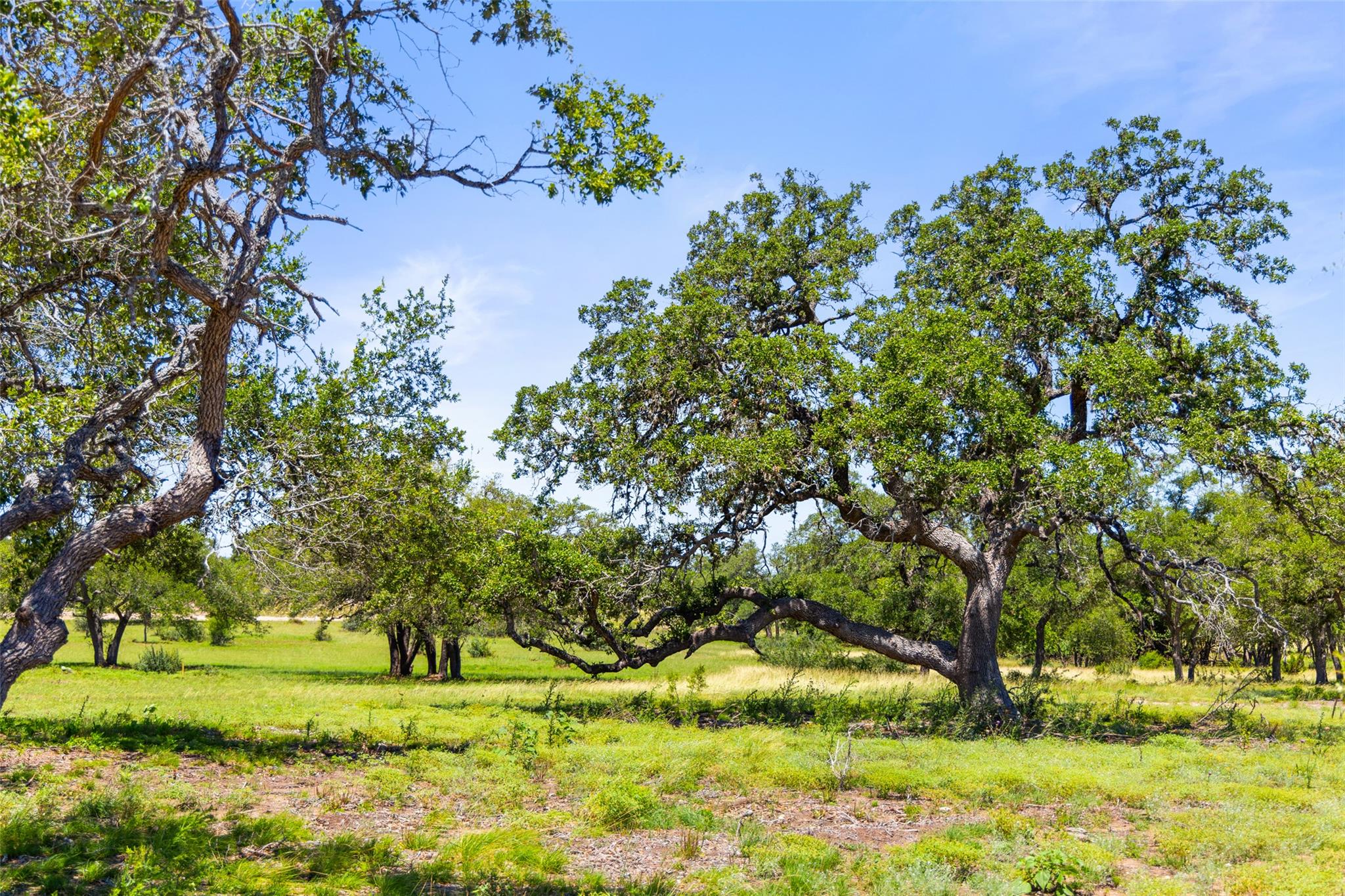 1094 Lindeman Ln, Blanco, TX 78606