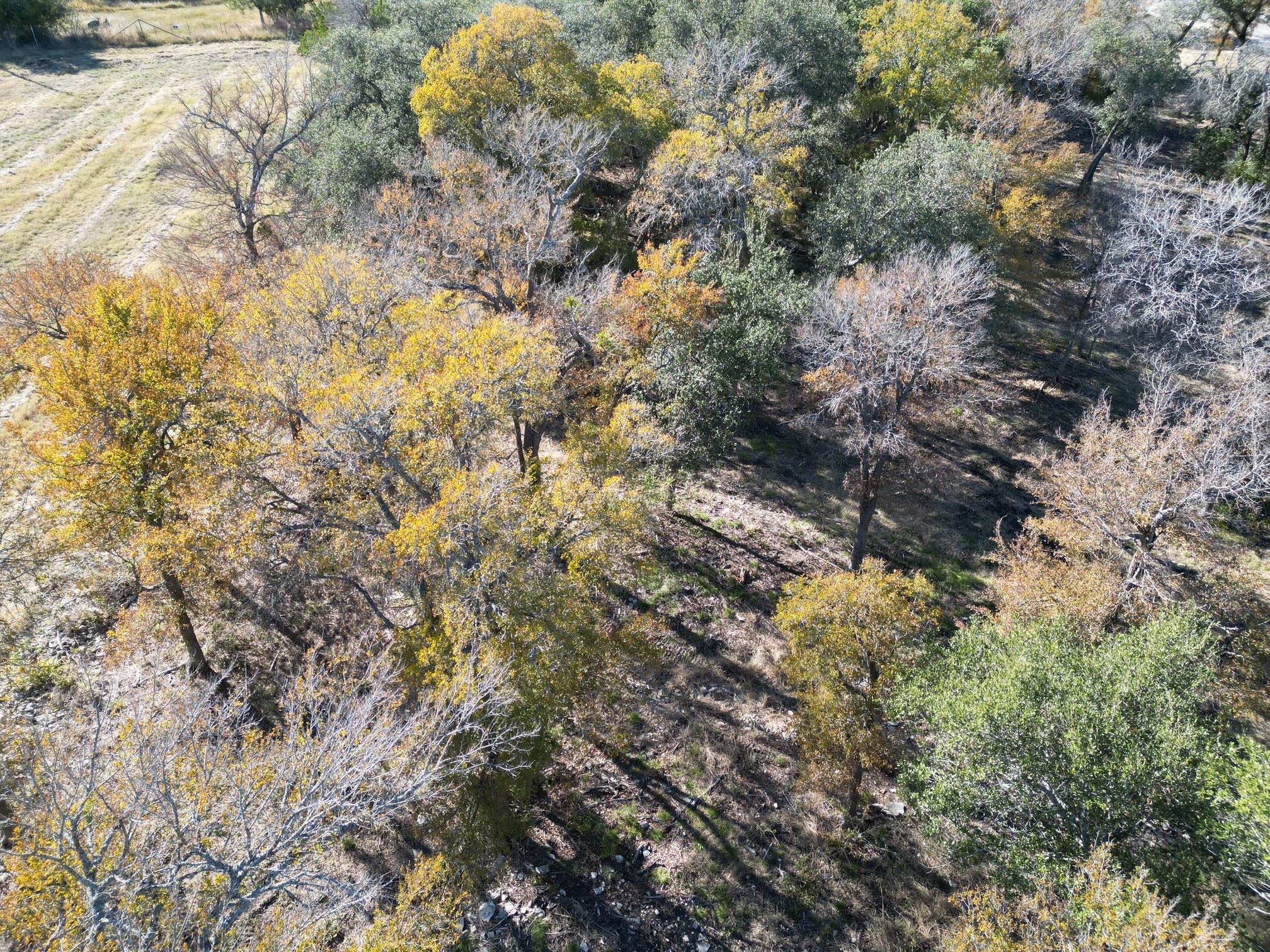 205 Serenity Dr, Liberty Hill, TX 78642