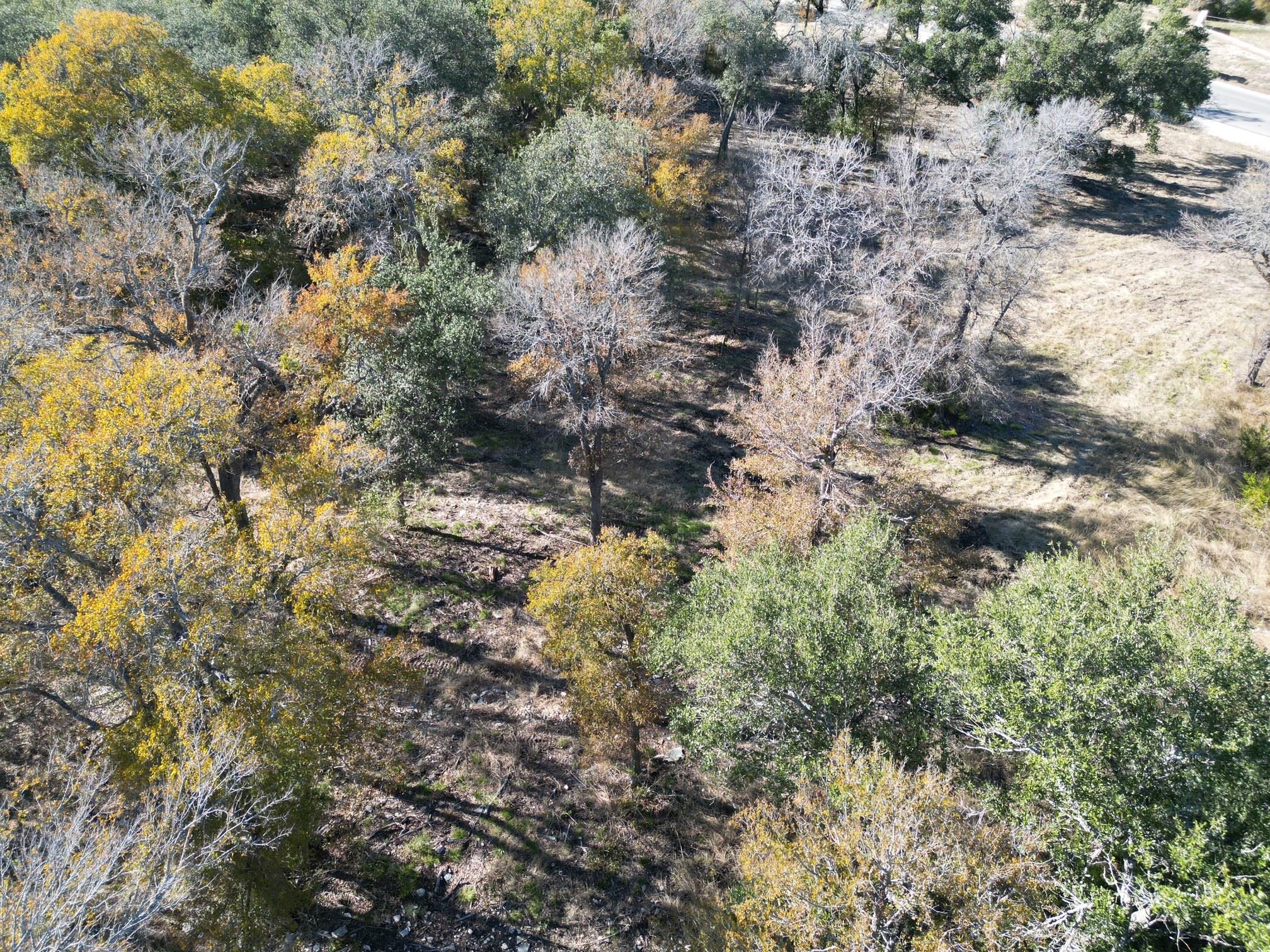 205 Serenity Dr, Liberty Hill, TX 78642