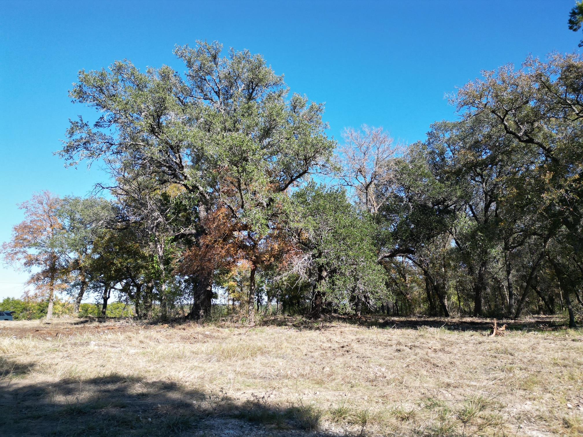 205 Serenity Dr, Liberty Hill, TX 78642