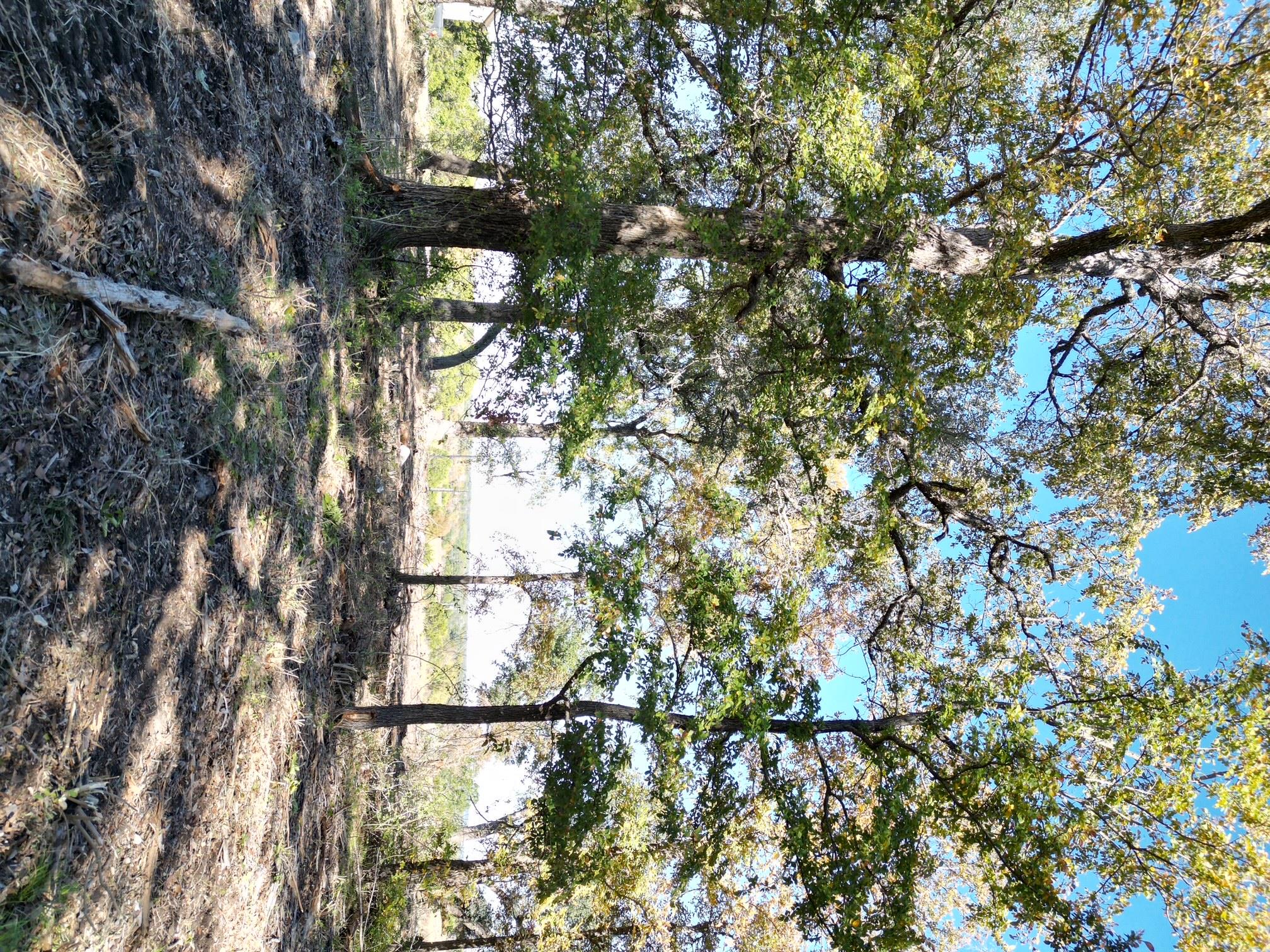 205 Serenity Dr, Liberty Hill, TX 78642