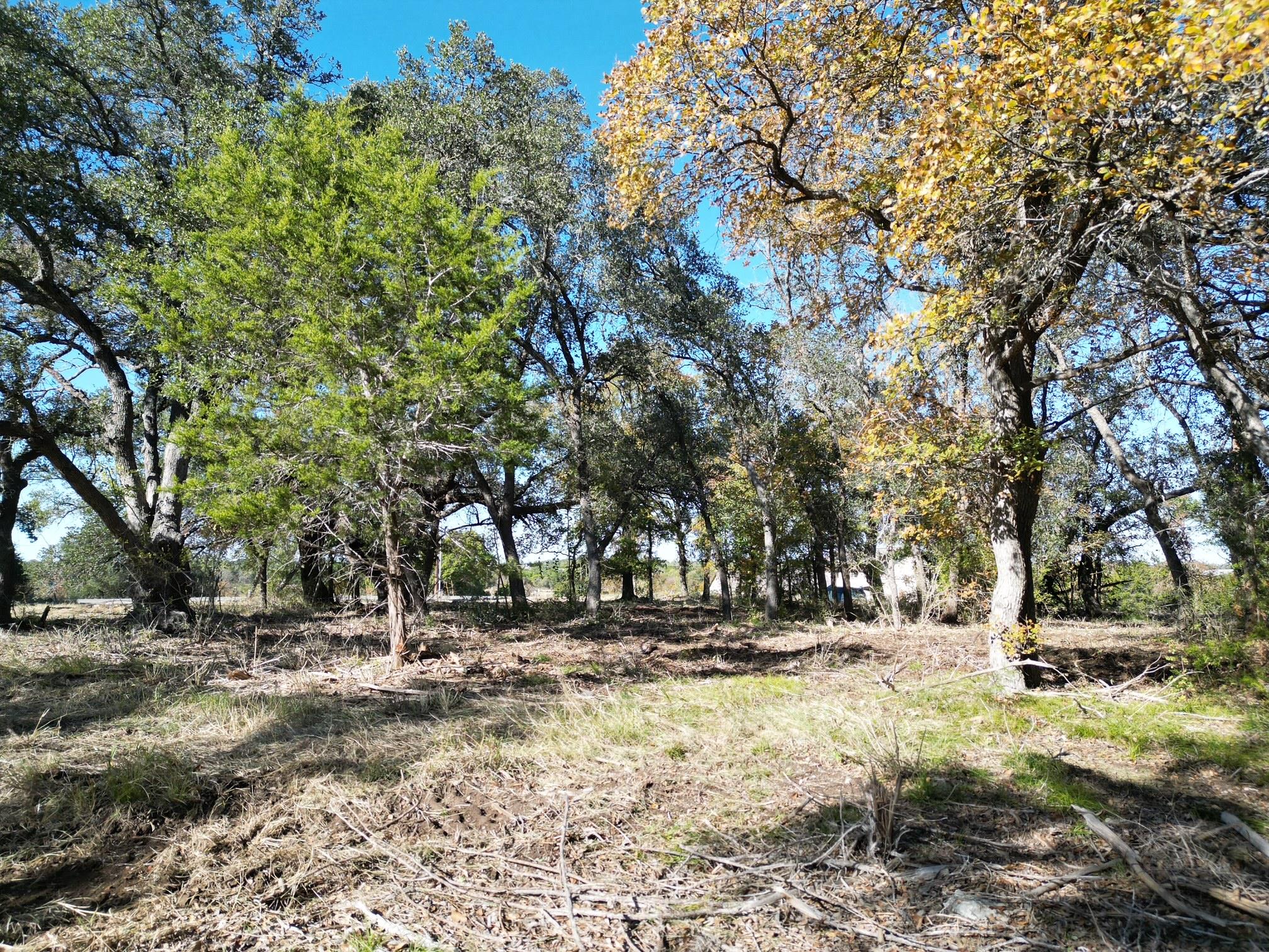 205 Serenity Dr, Liberty Hill, TX 78642