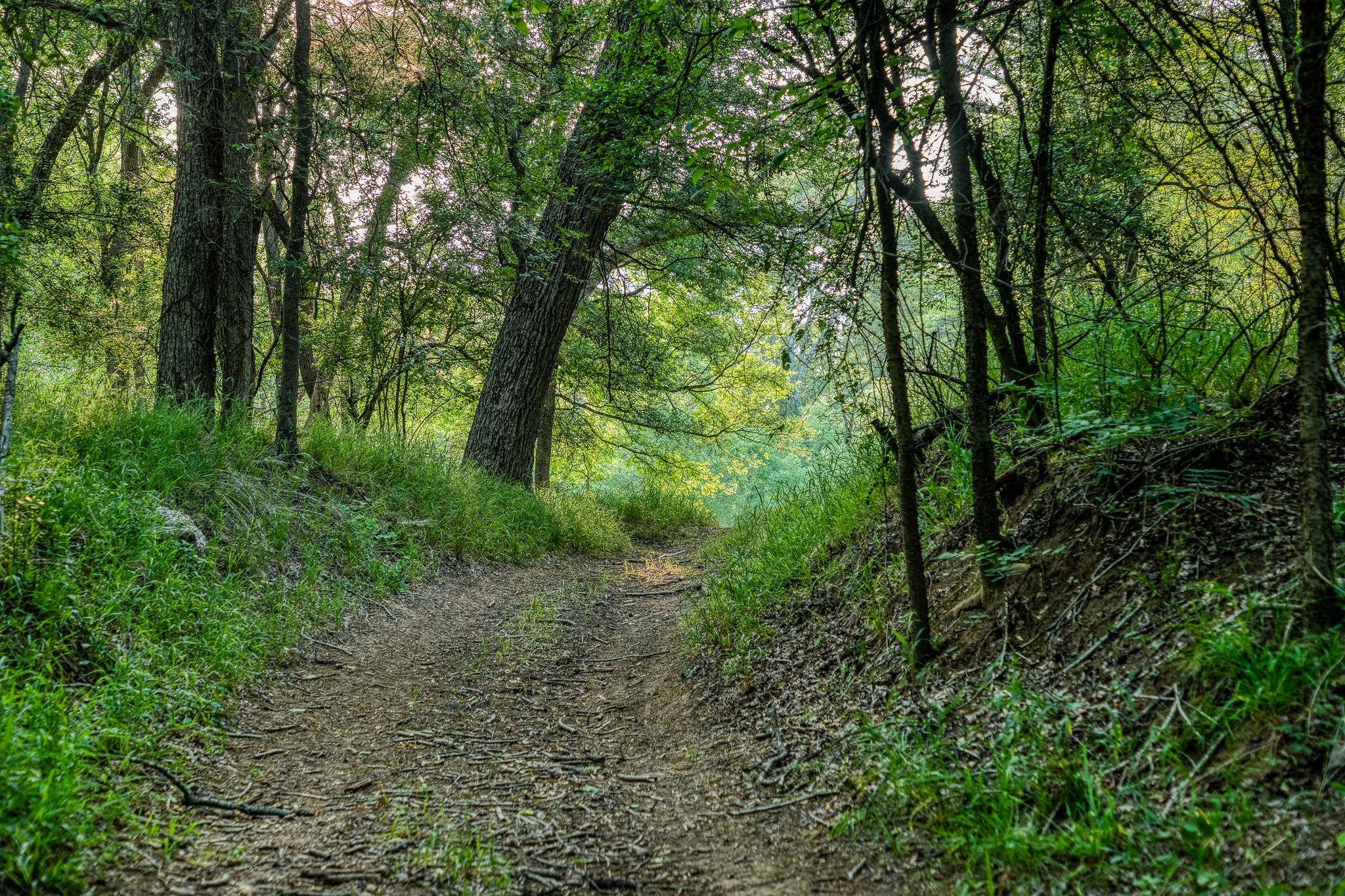 196 Willy Rd, Bastrop, TX 78602