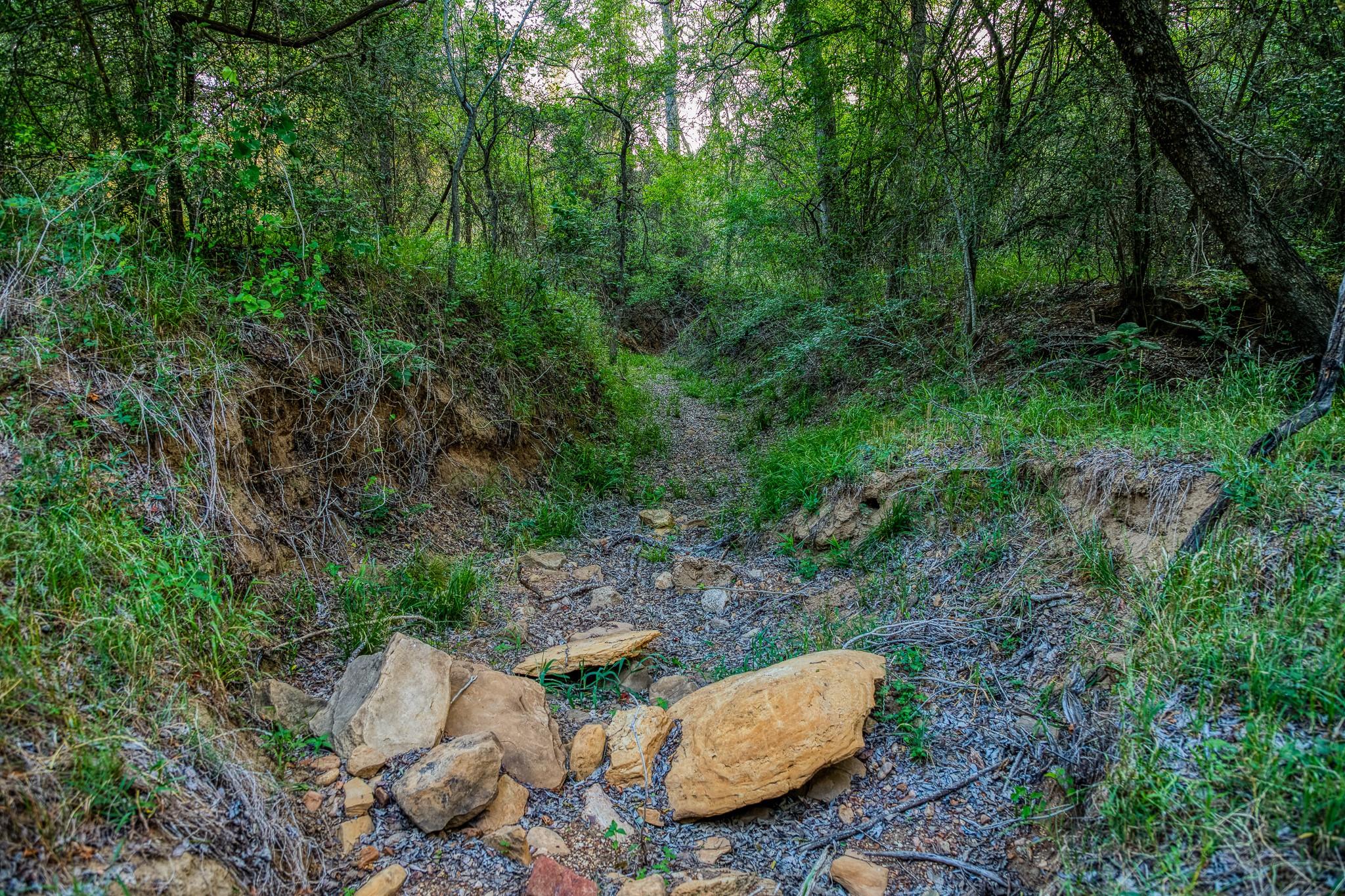 196 Willy Rd, Bastrop, TX 78602