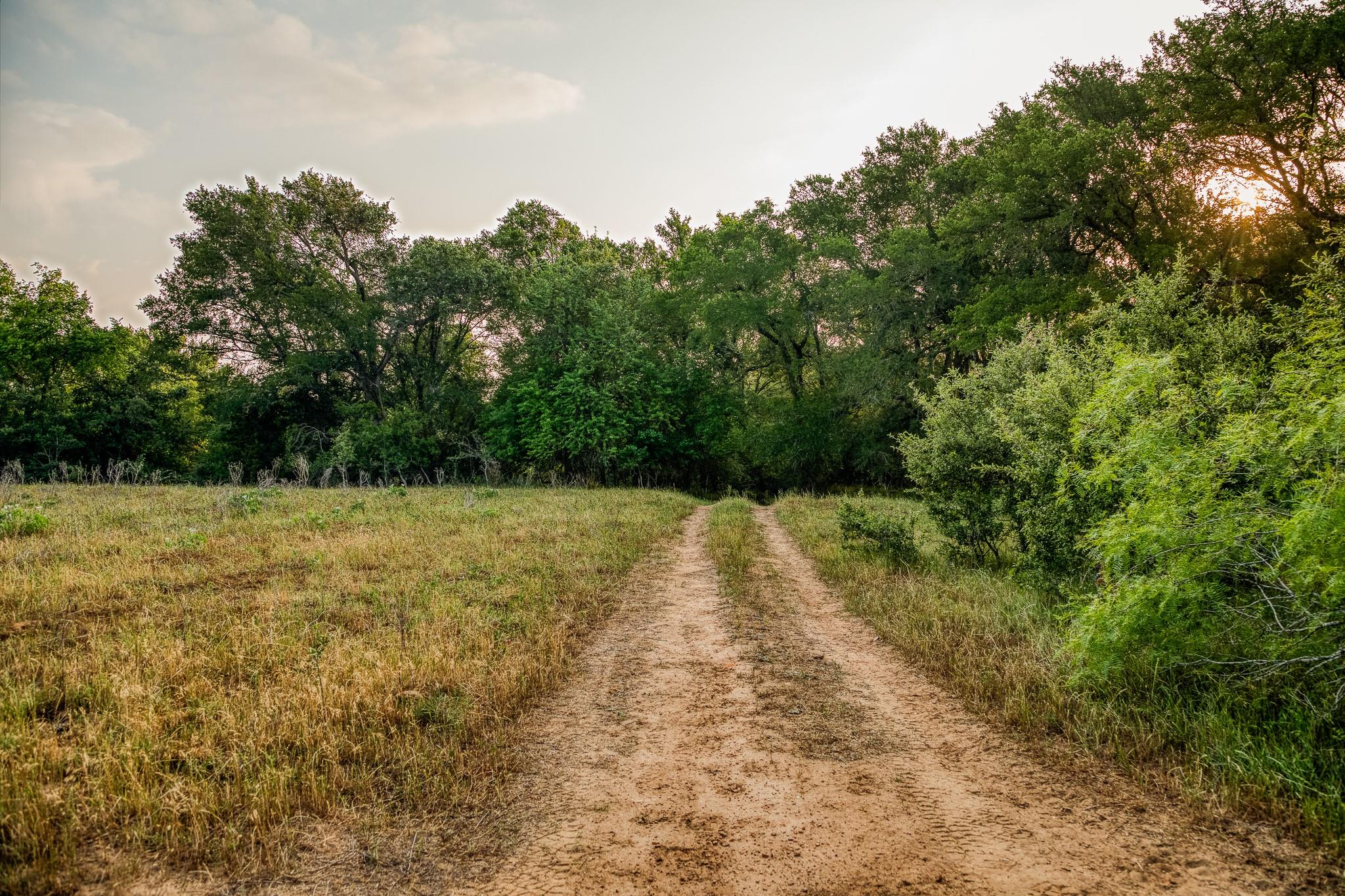 196 Willy Rd, Bastrop, TX 78602