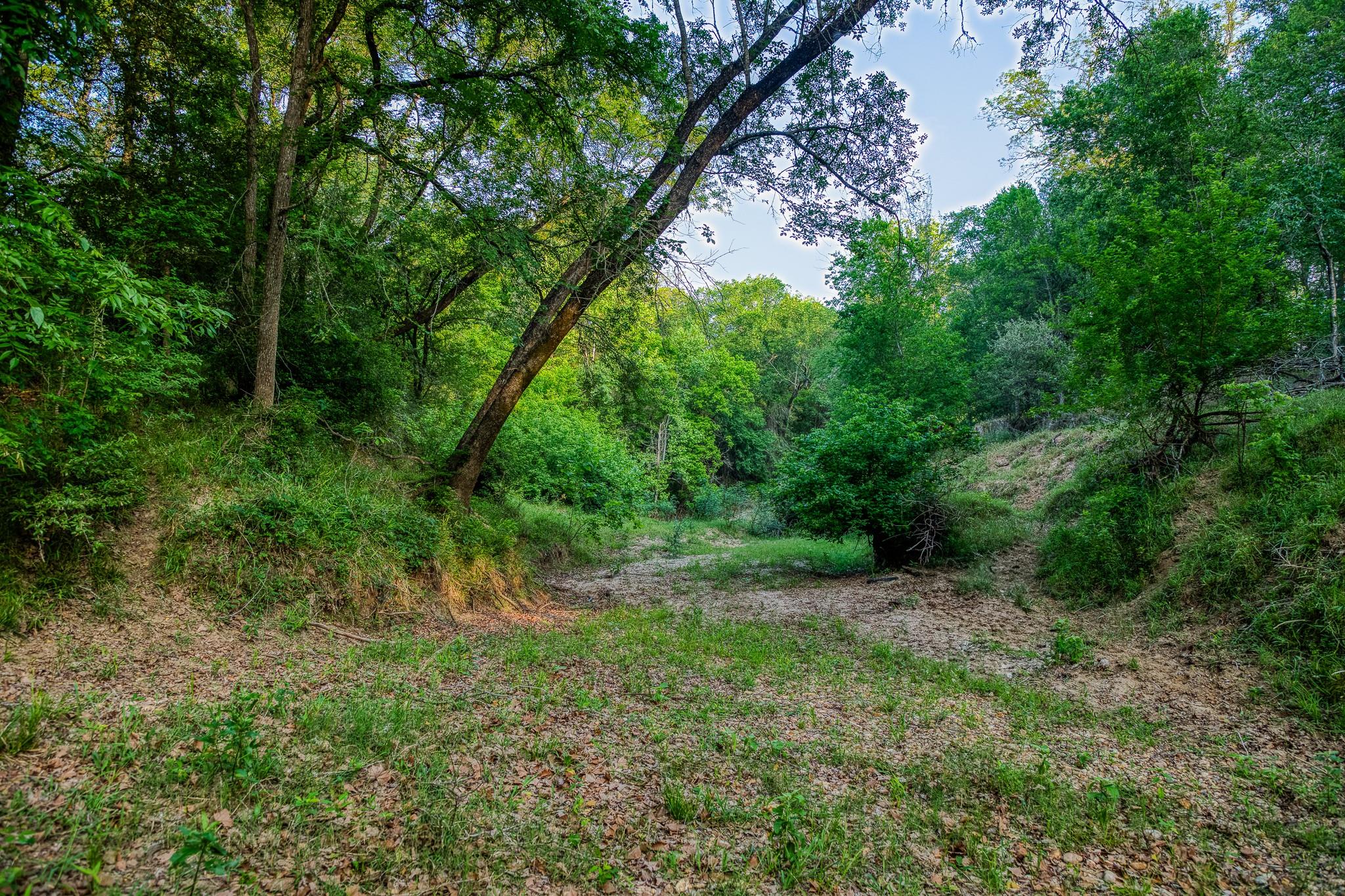 196 Willy Rd, Bastrop, TX 78602