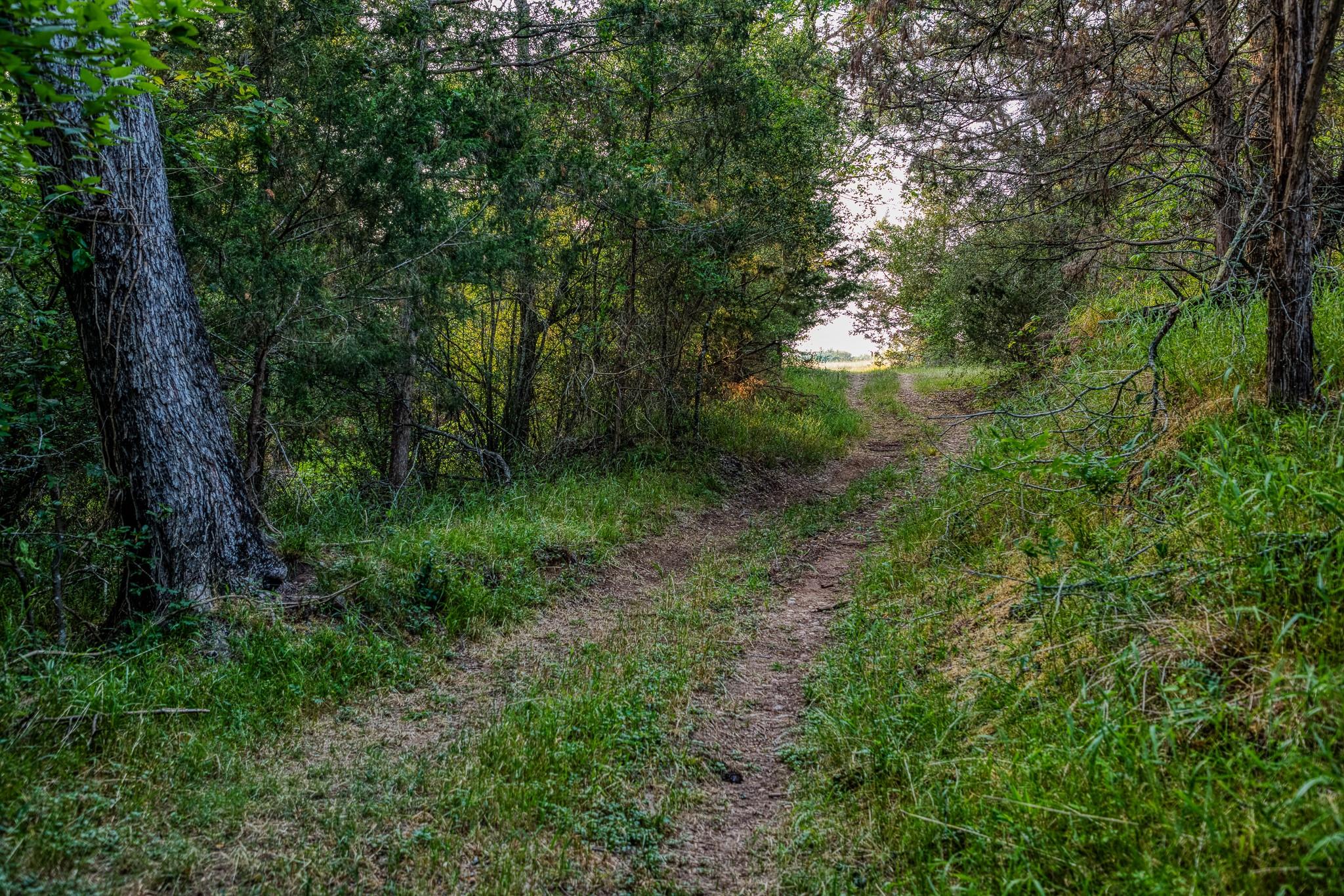 196 Willy Rd, Bastrop, TX 78602