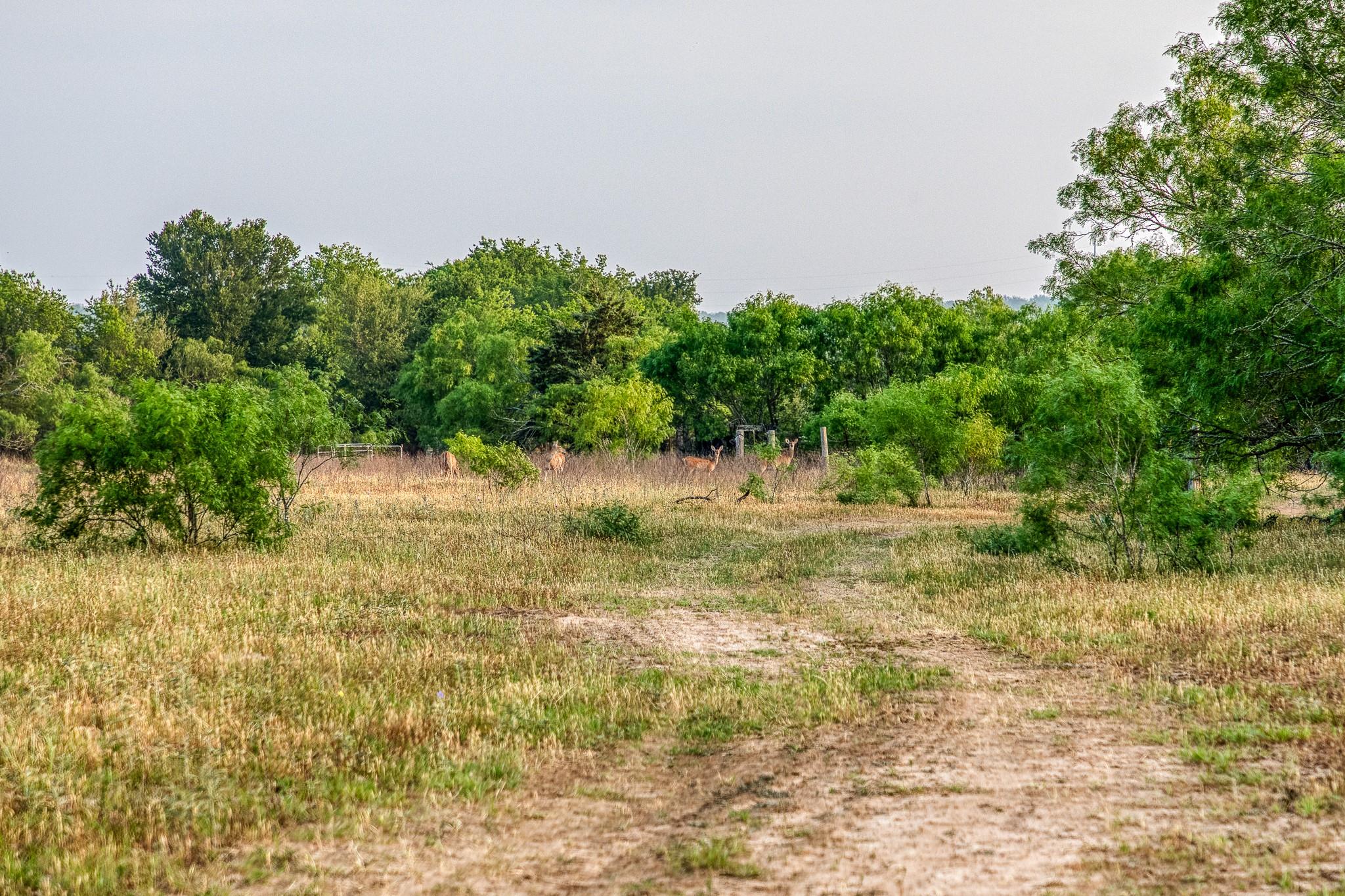 196 Willy Rd, Bastrop, TX 78602