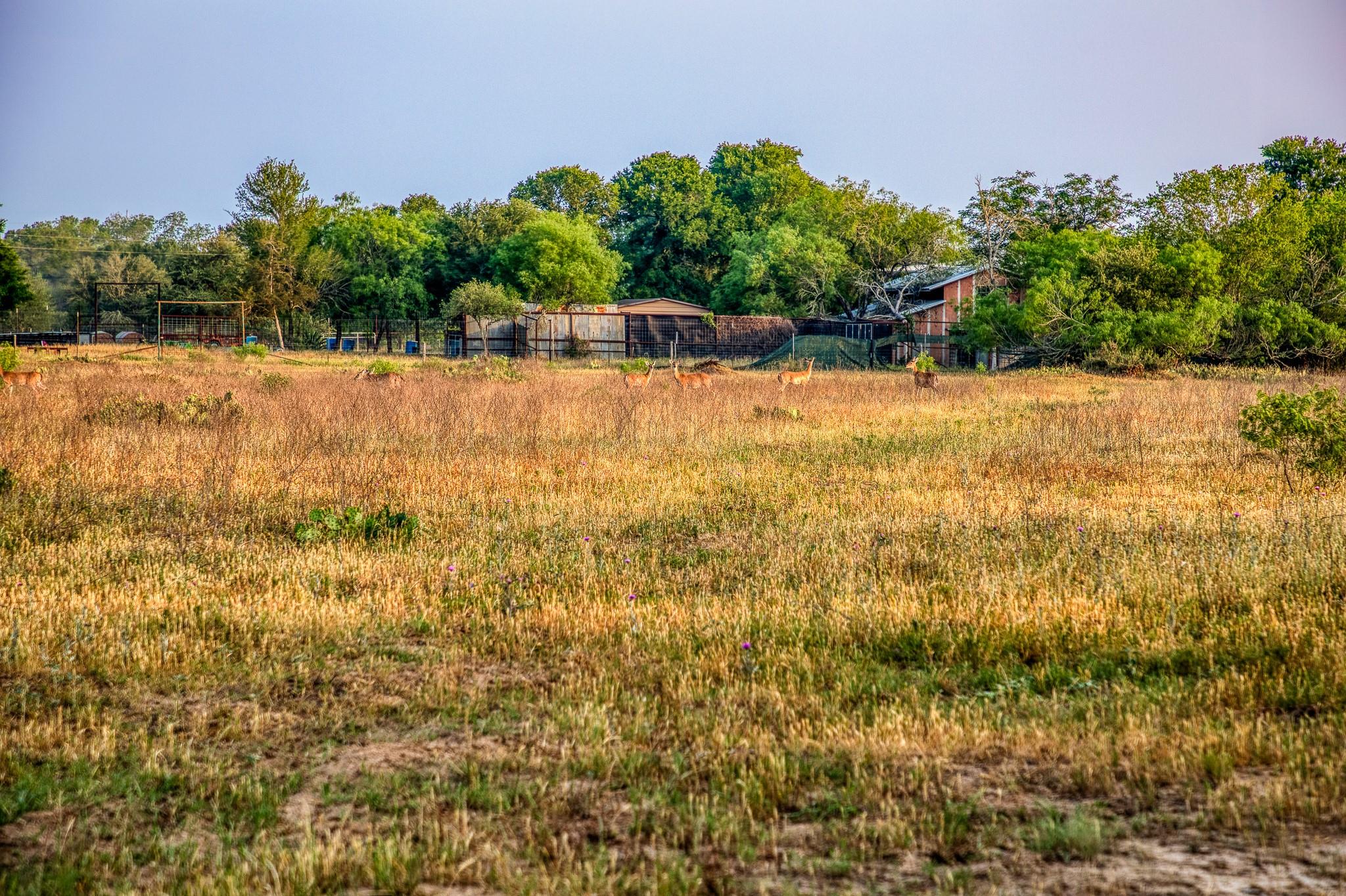 196 Willy Rd, Bastrop, TX 78602