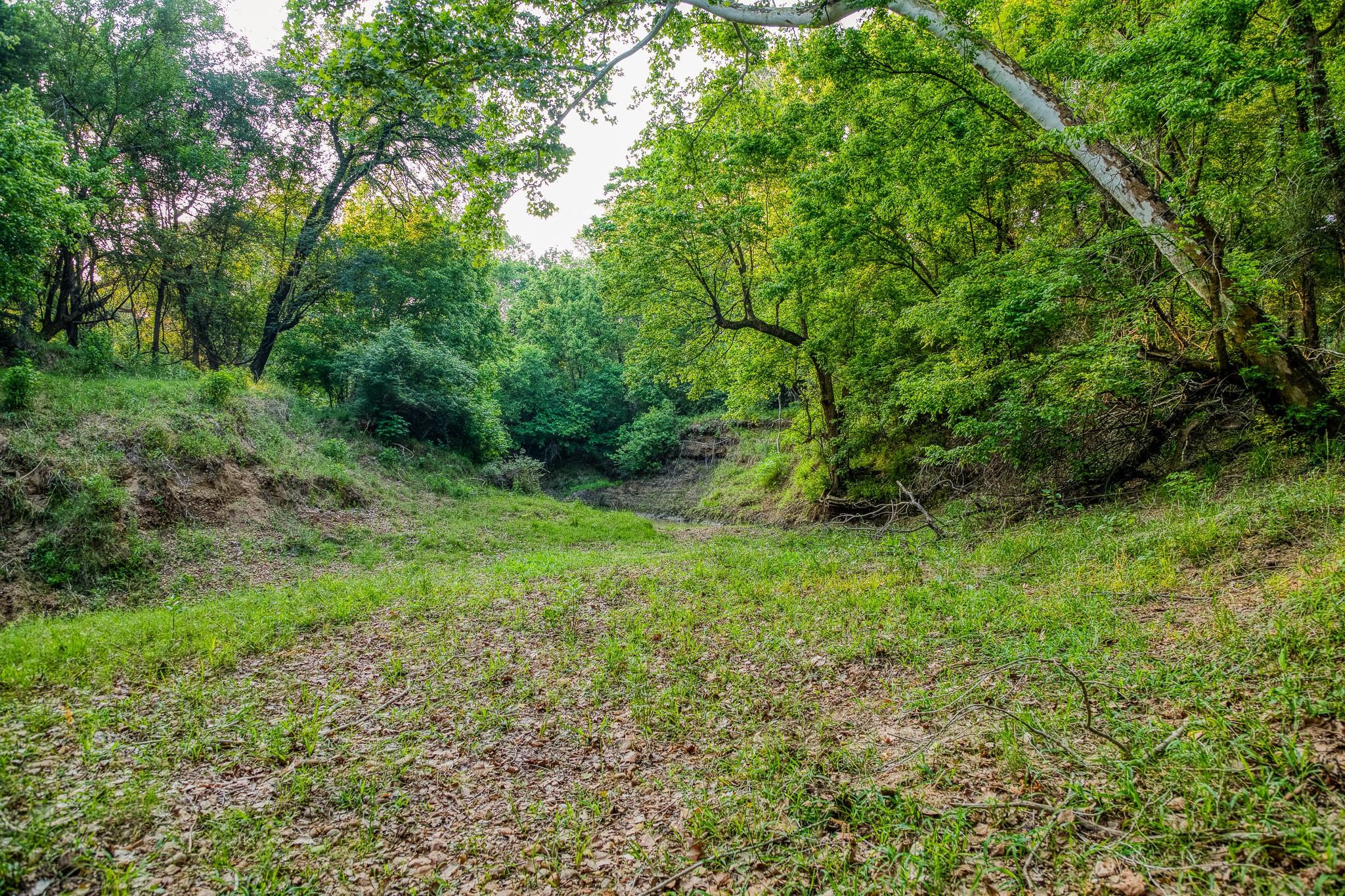 196 Willy Rd, Bastrop, TX 78602