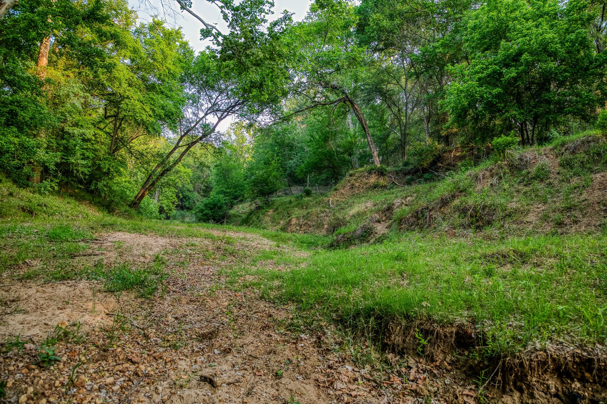 196 Willy Rd, Bastrop, TX 78602