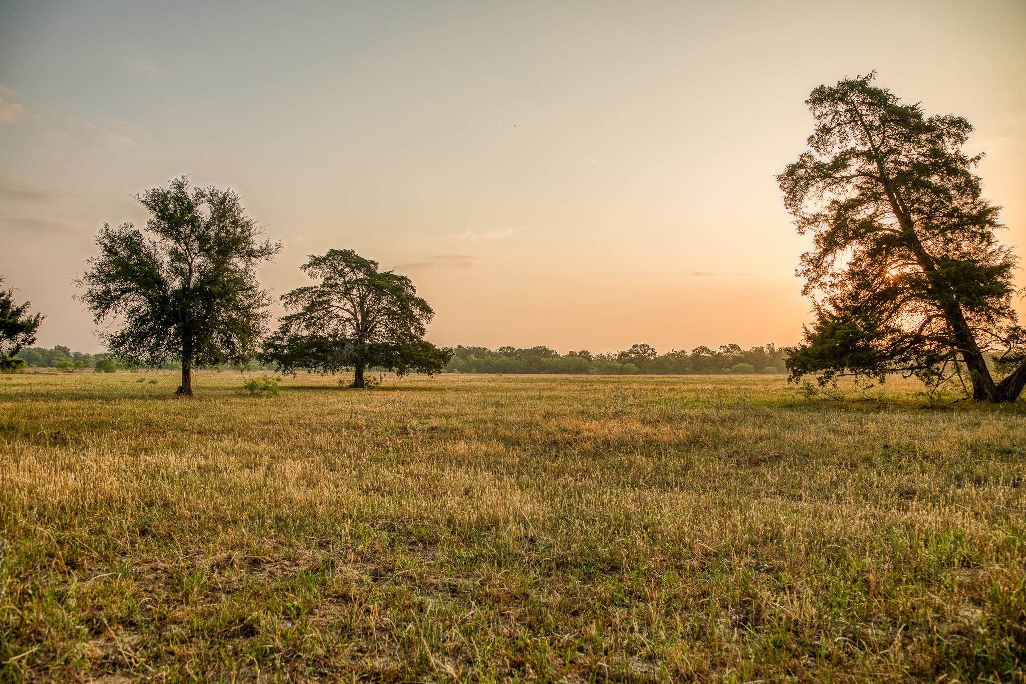 196 Willy Rd, Bastrop, TX 78602